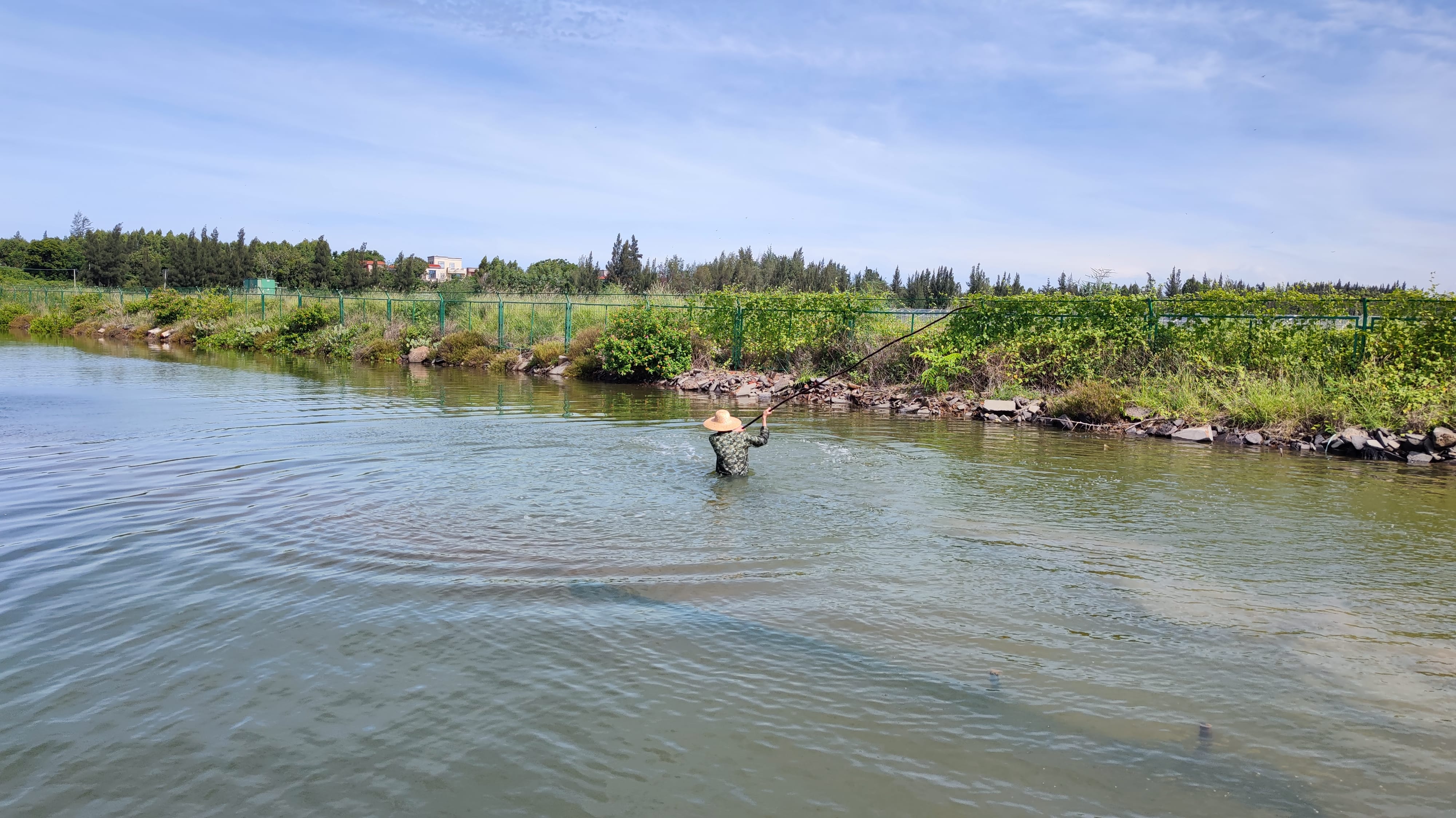 IMG_20210814_094702_1