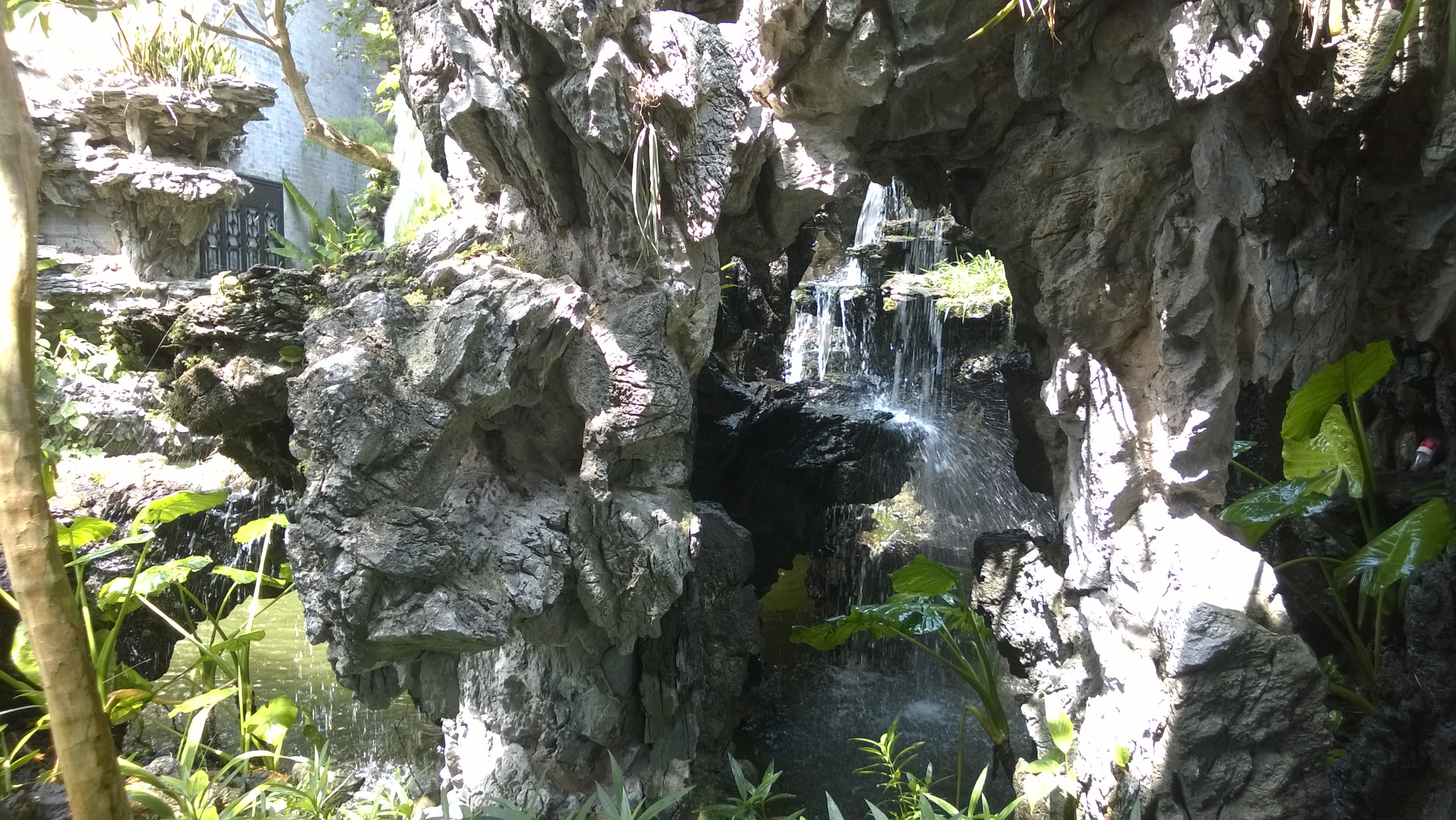 WP_20161002_11_55_44_Pro