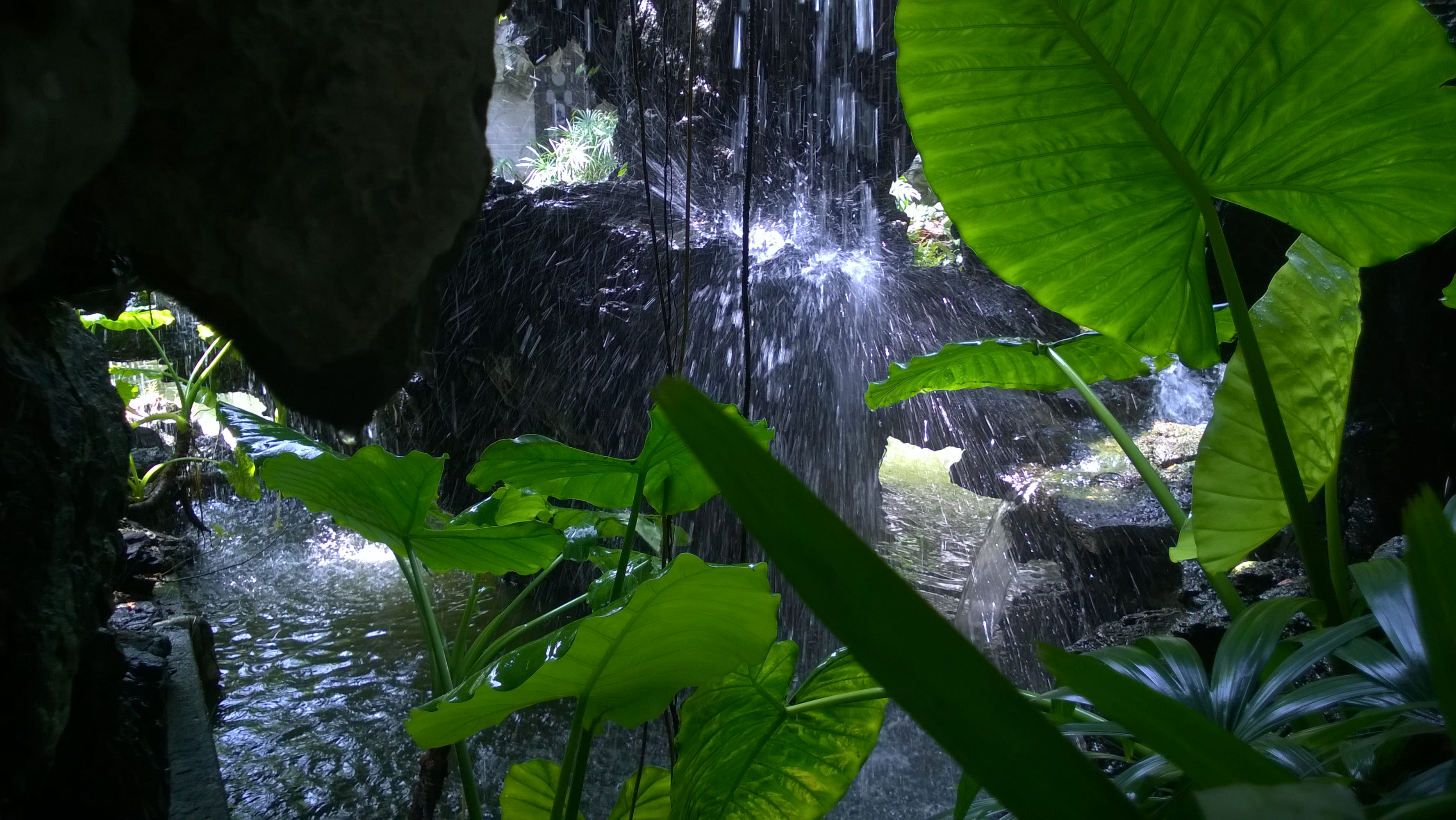 WP_20161002_11_56_25_Pro