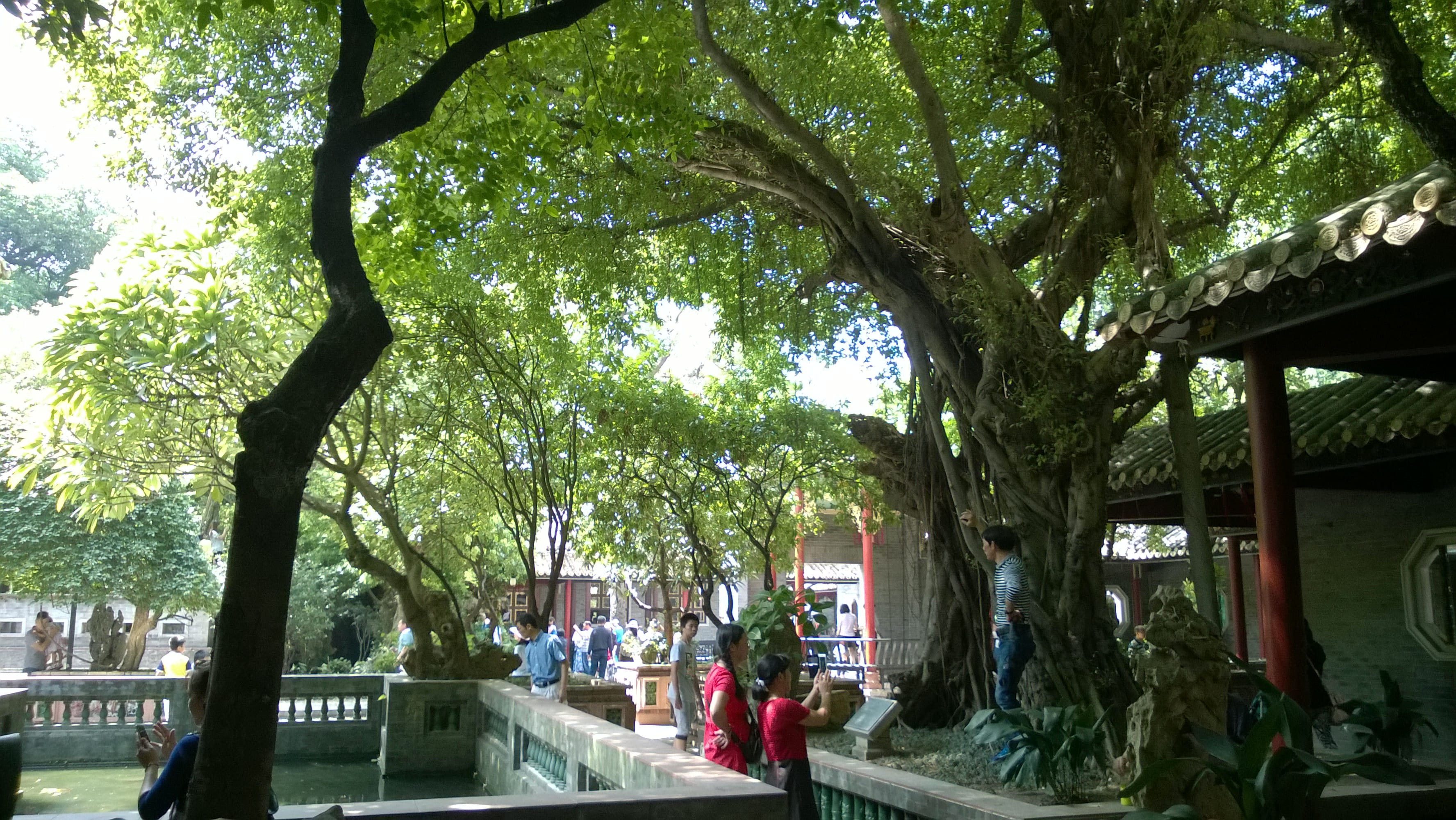 WP_20161002_12_04_41_Pro