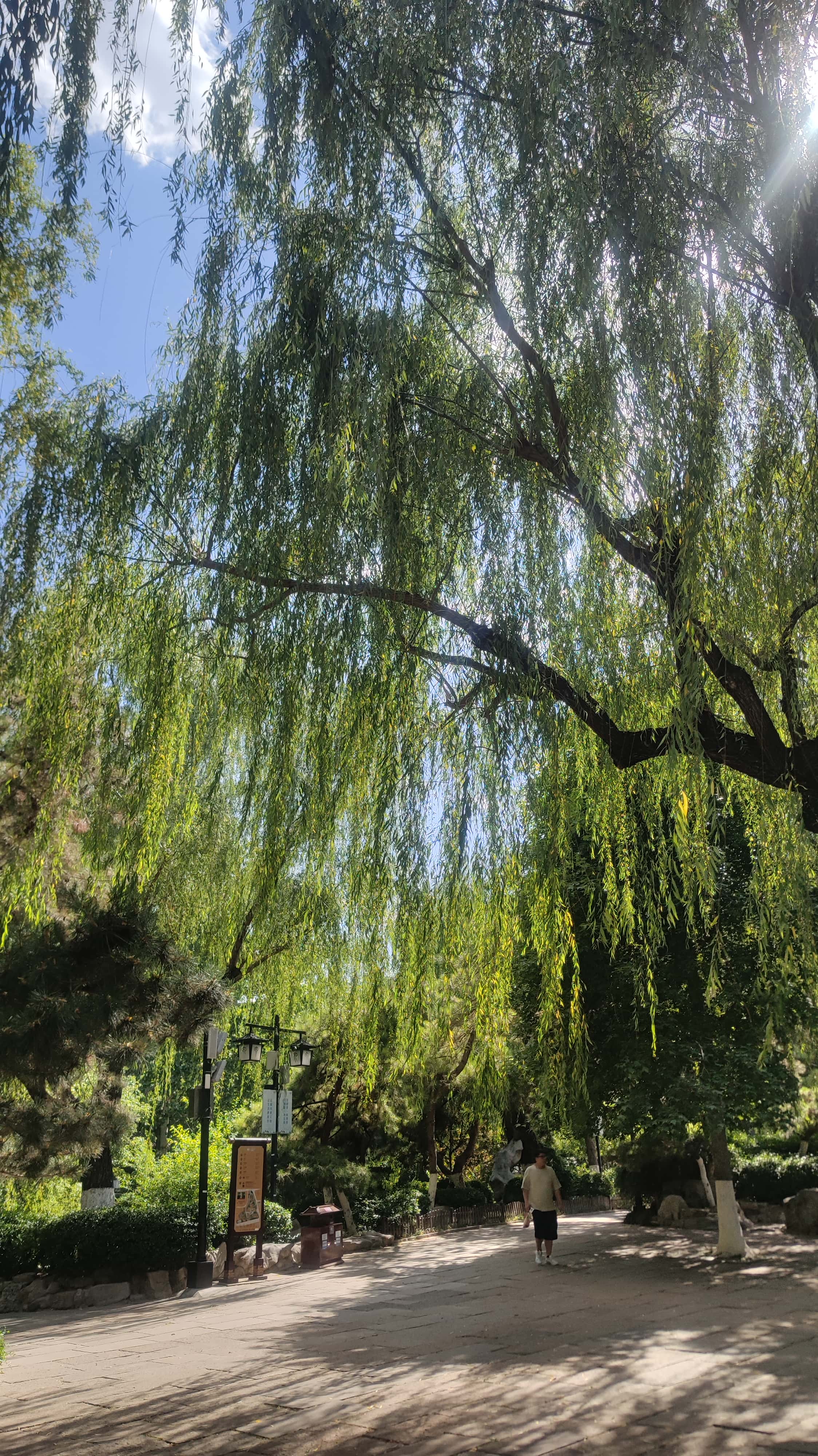 MVIMG_20250603_150731