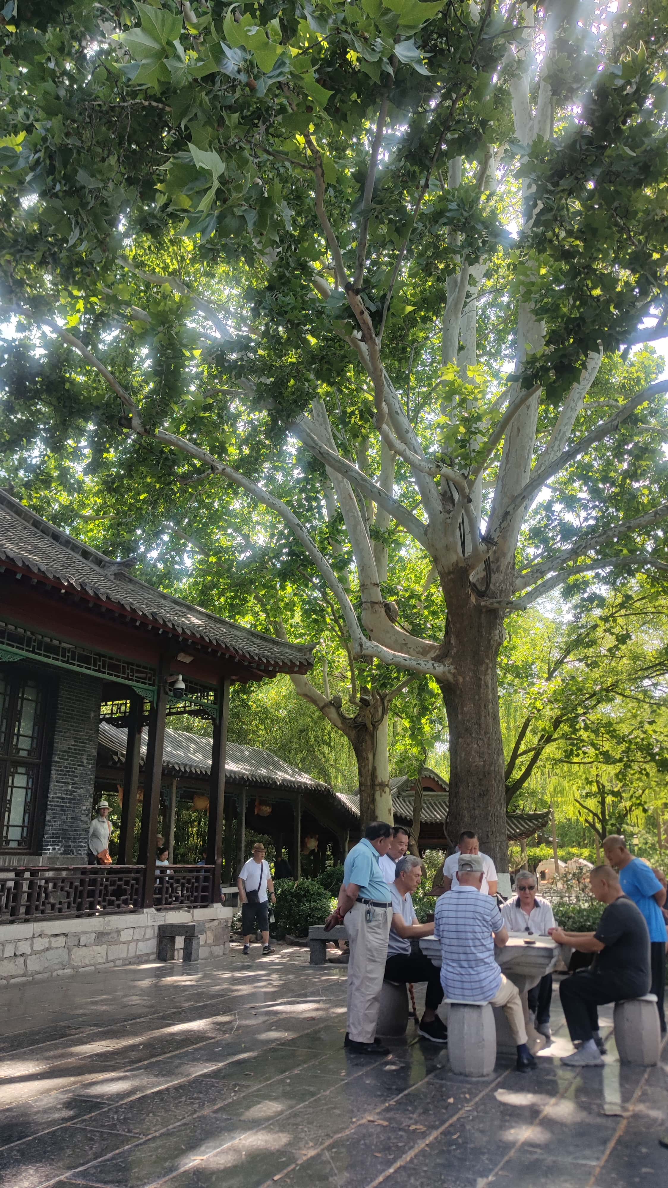 MVIMG_20250603_151448