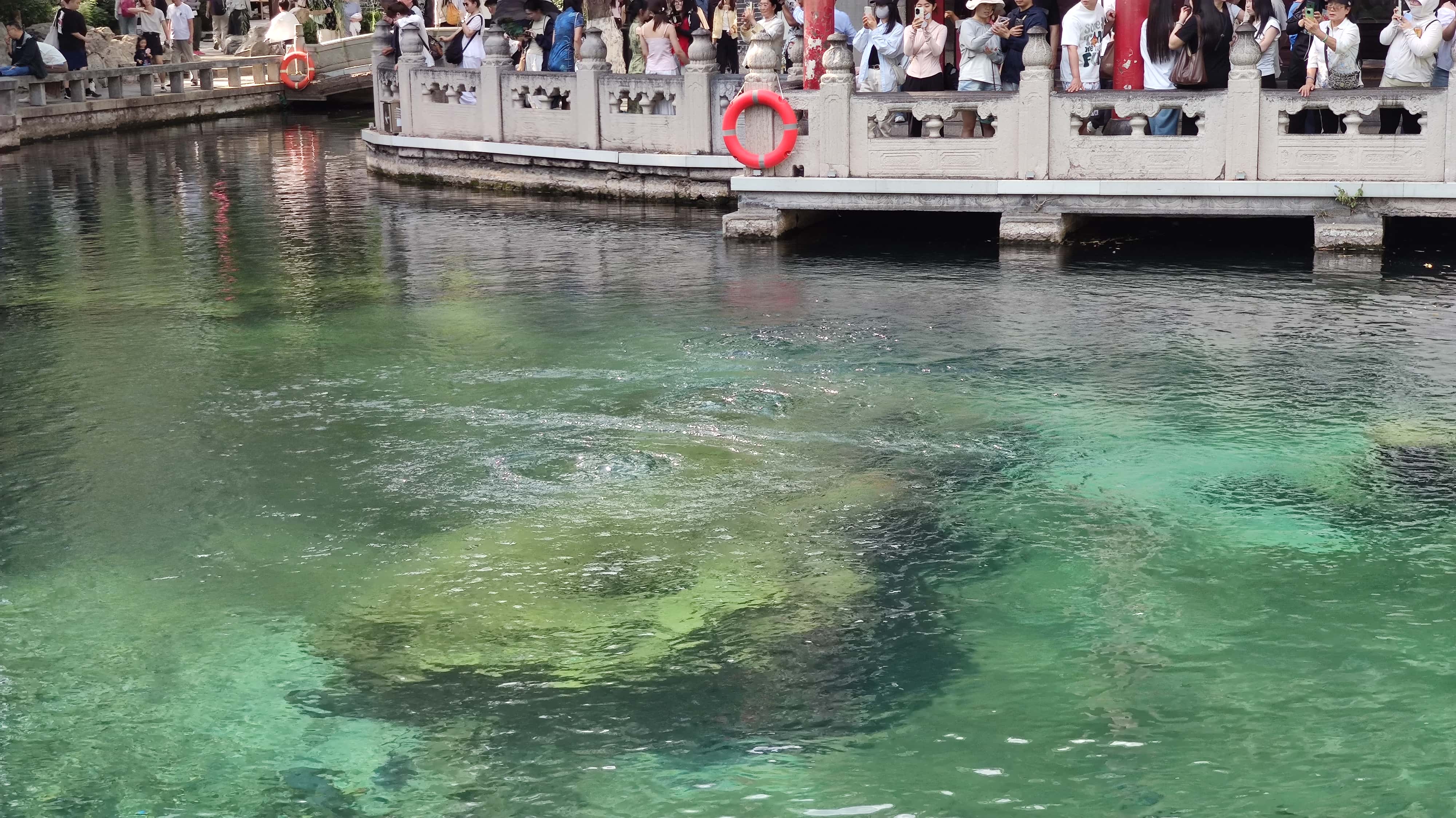 MVIMG_20250603_155154