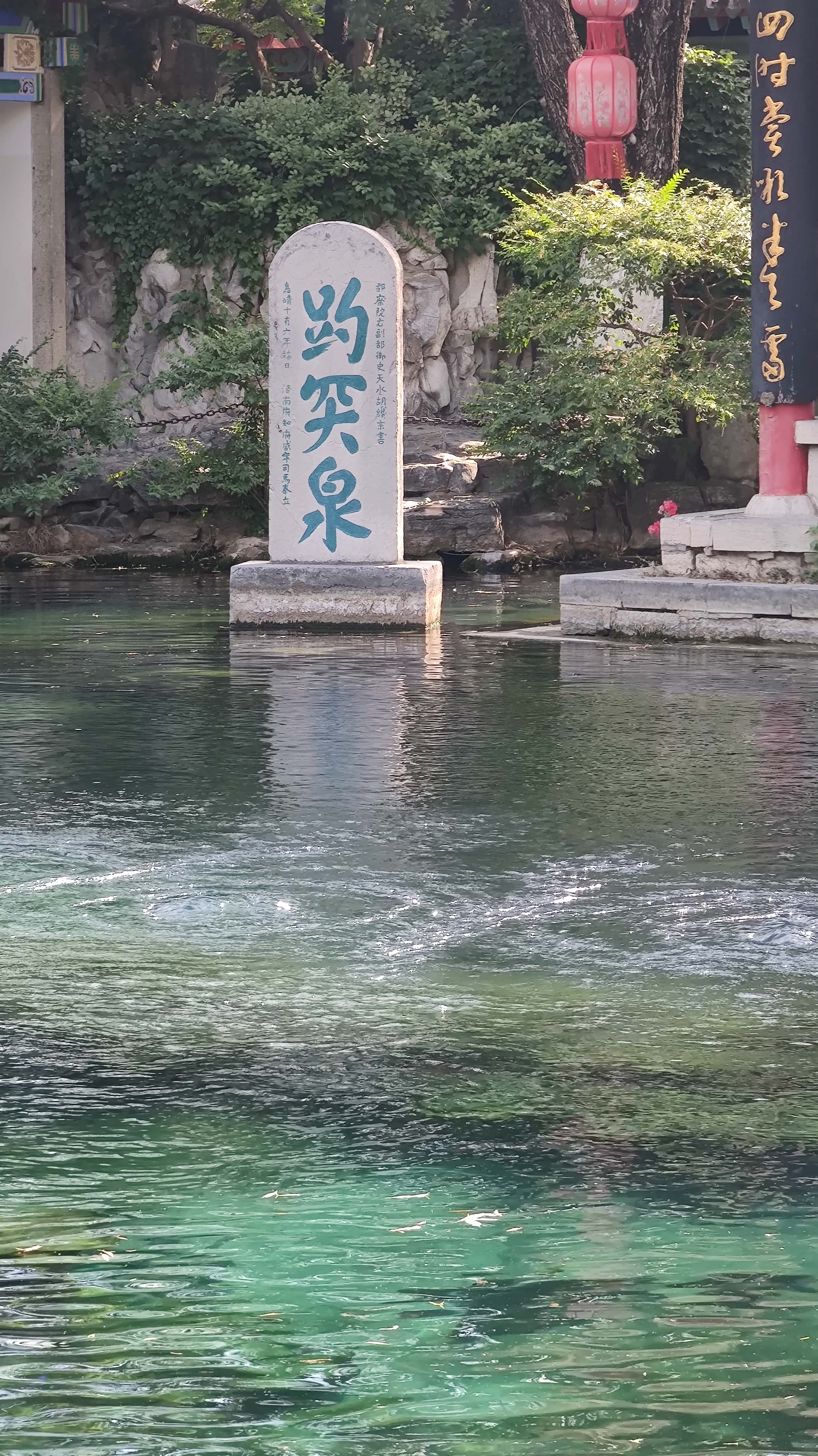 MVIMG_20250603_155333