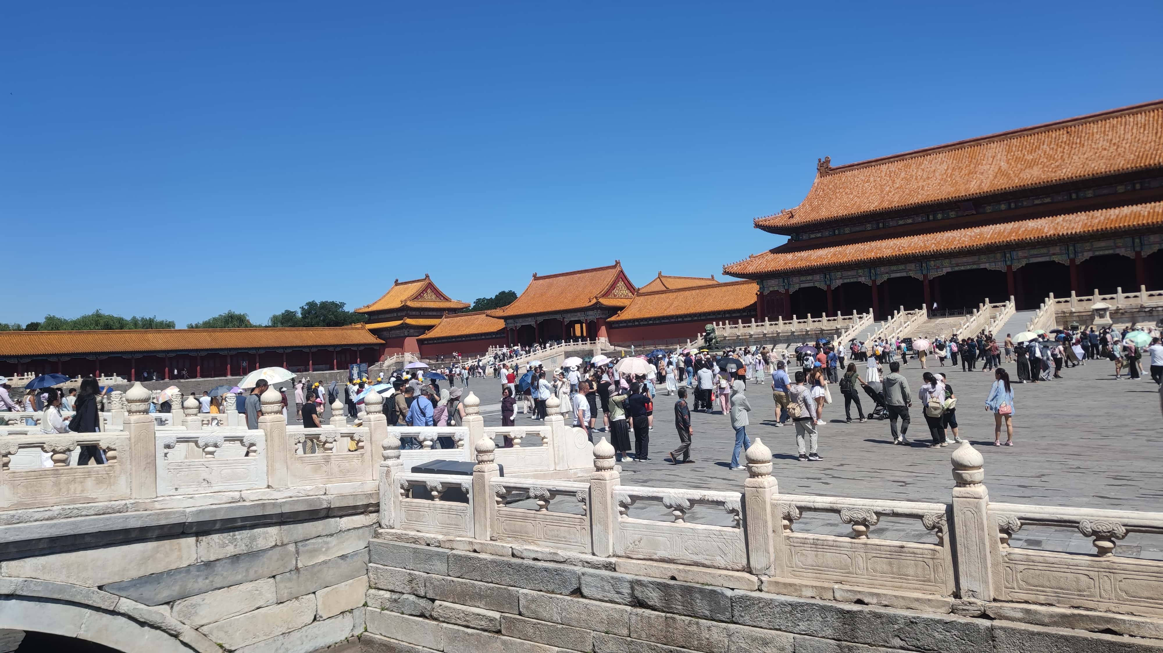 MVIMG_20250604_101342