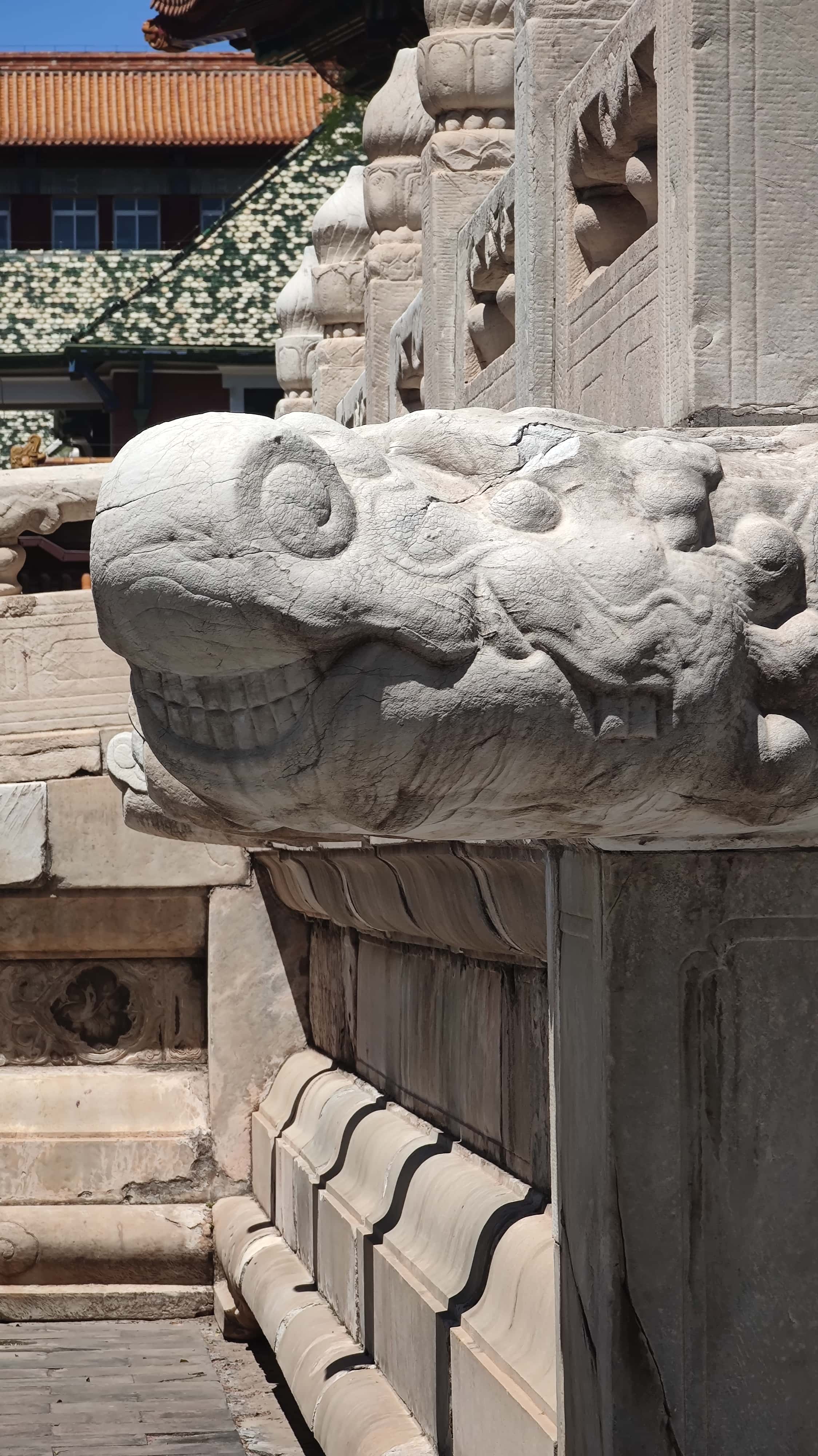 MVIMG_20250604_104923