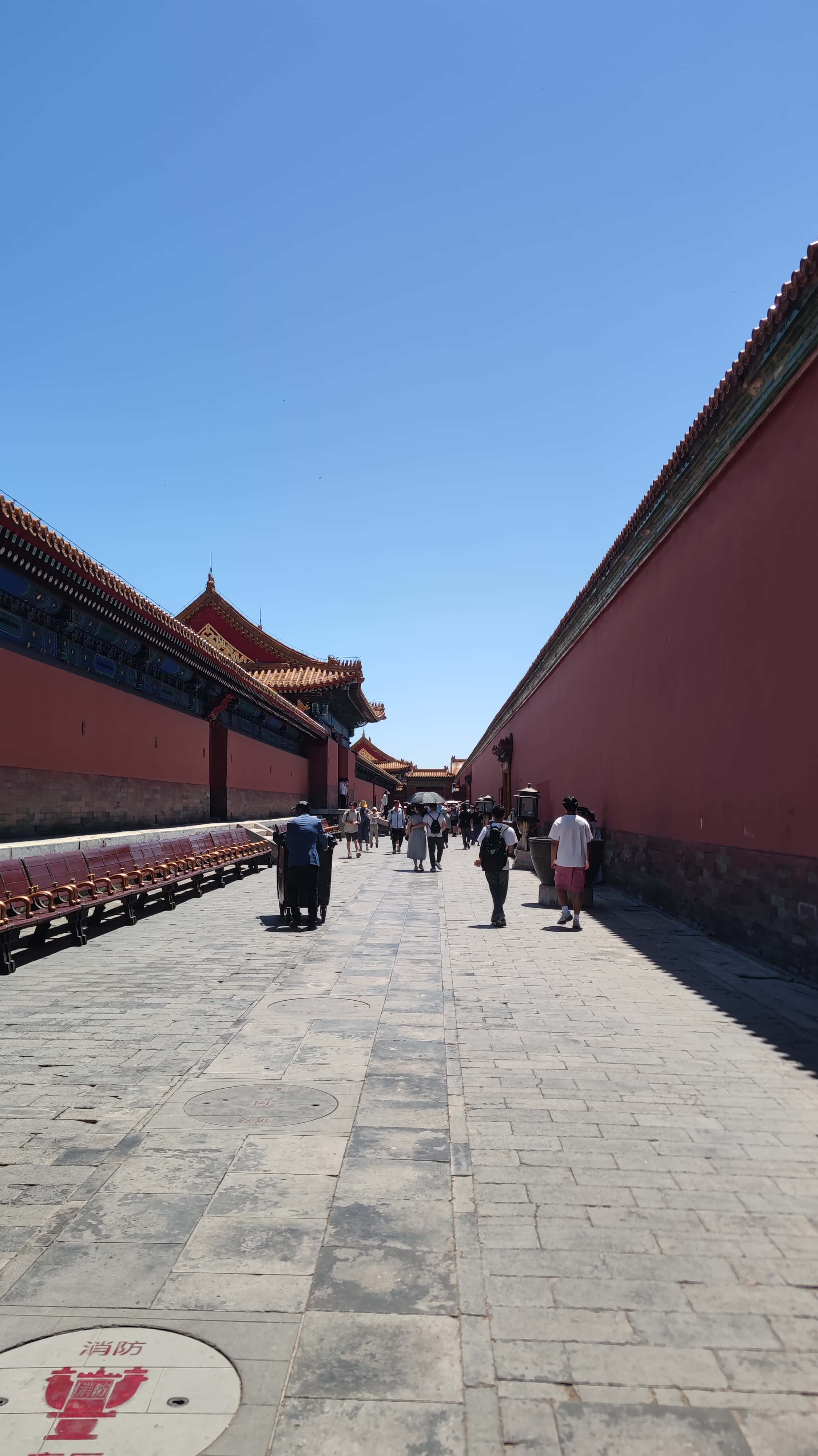 MVIMG_20250604_124625