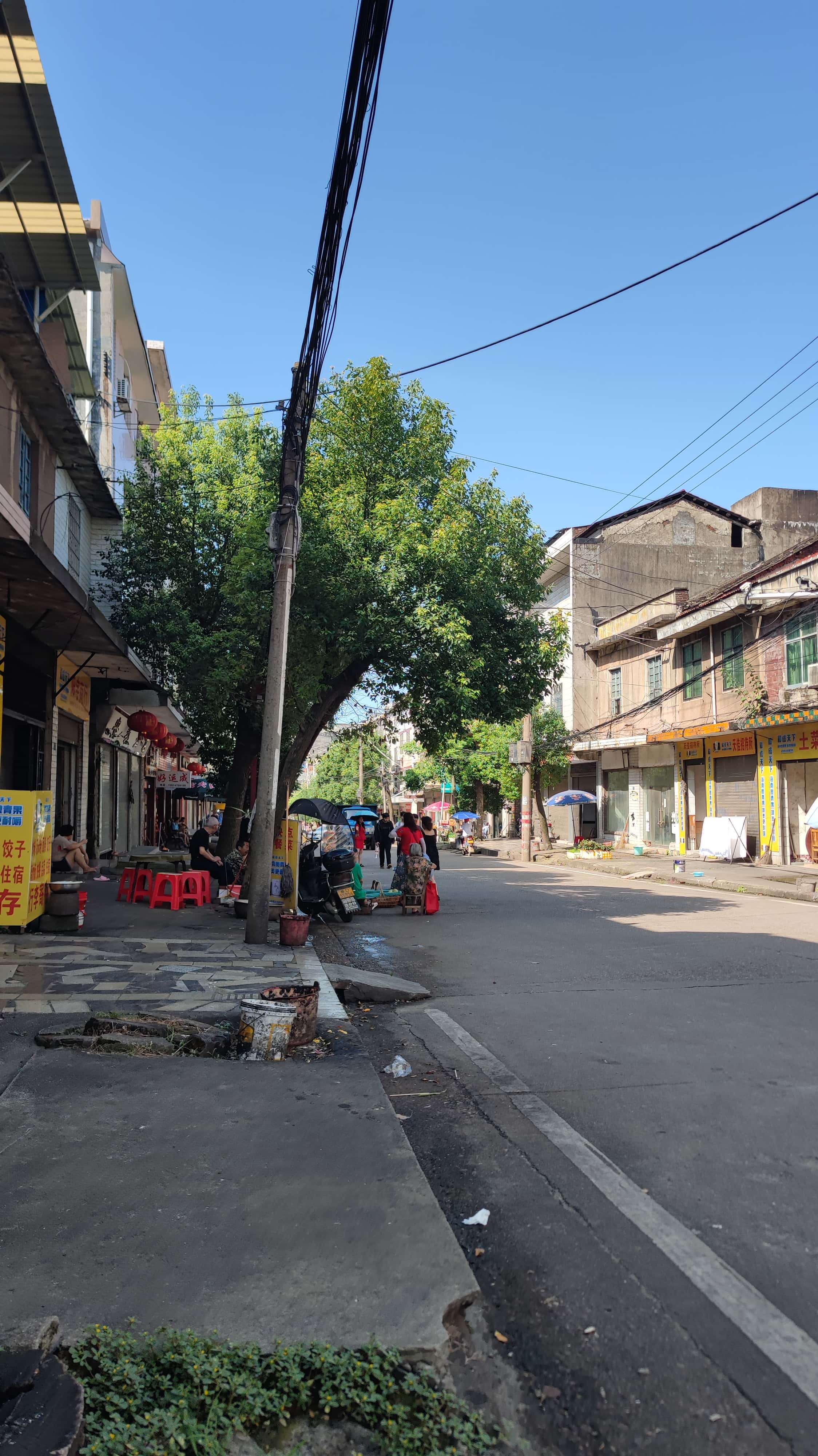 MVIMG_20250617_091835