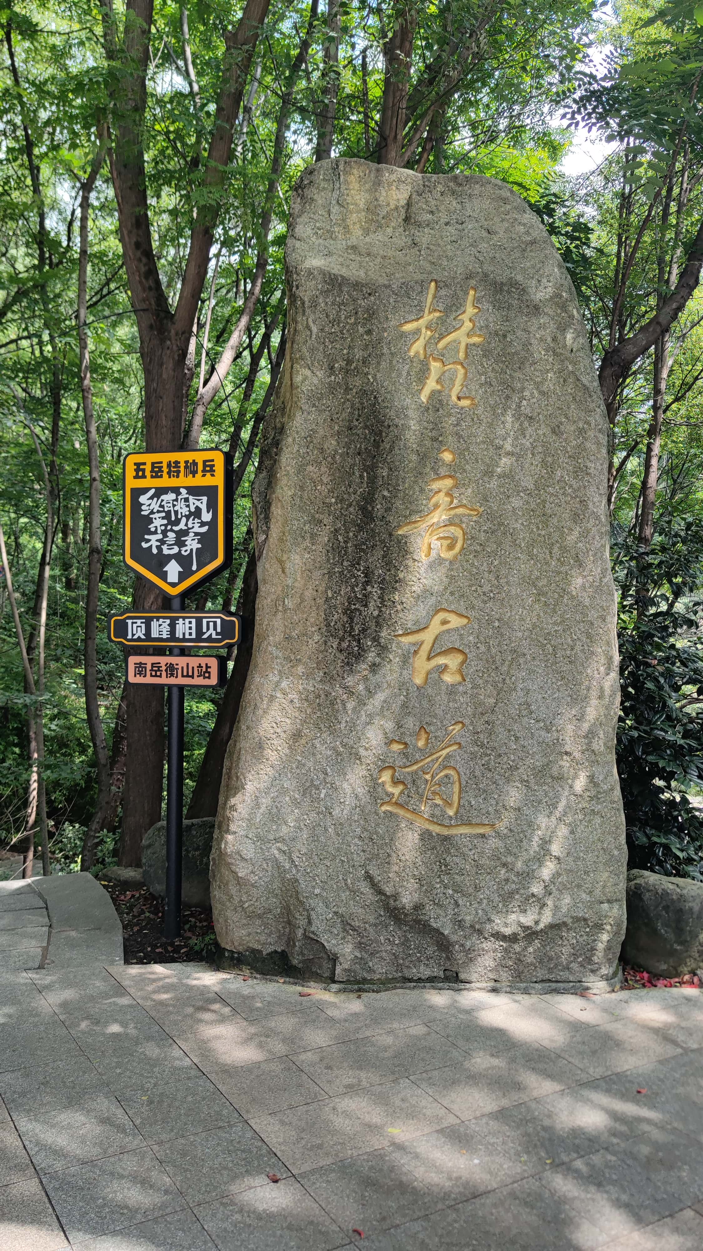 MVIMG_20250617_104007