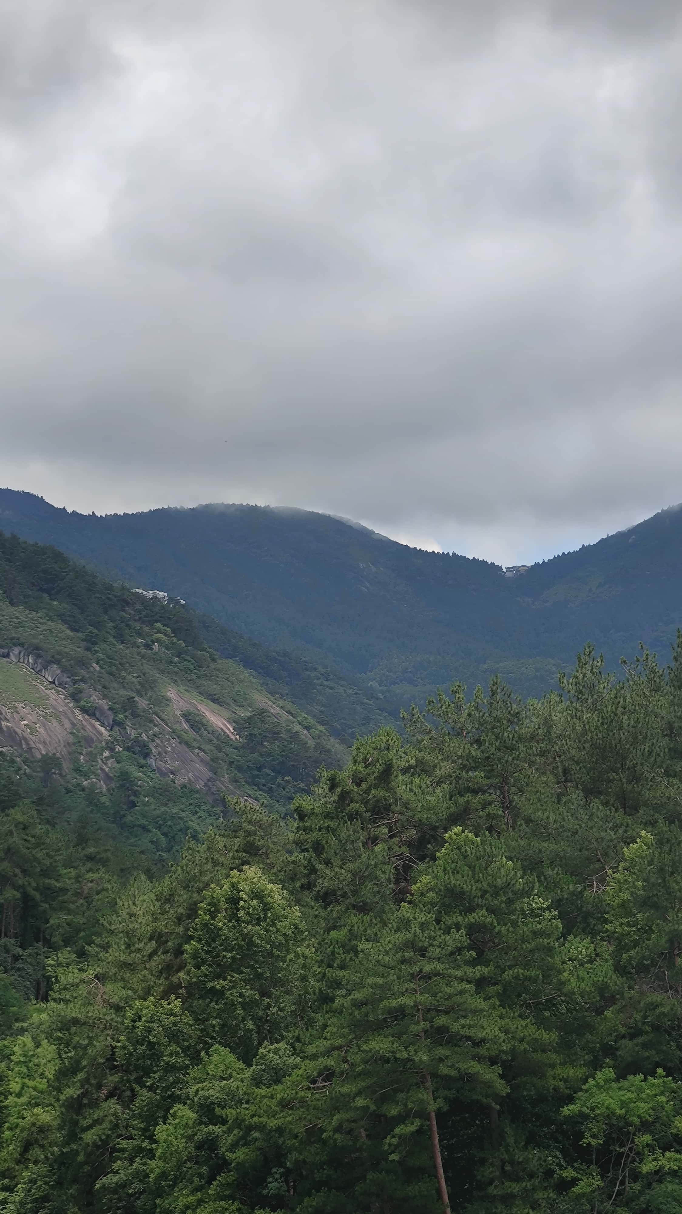 MVIMG_20250617_105024