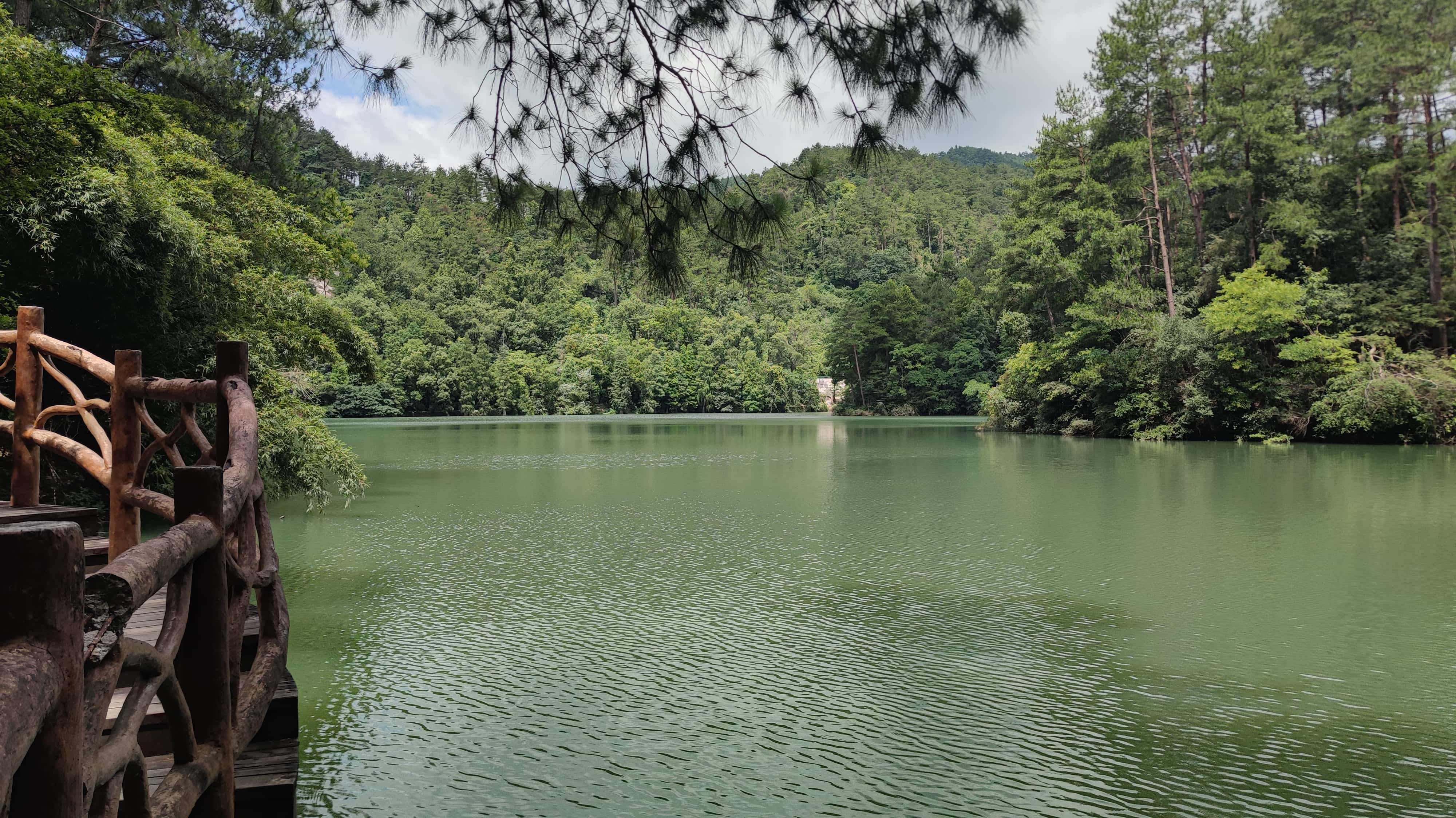 MVIMG_20250617_105257