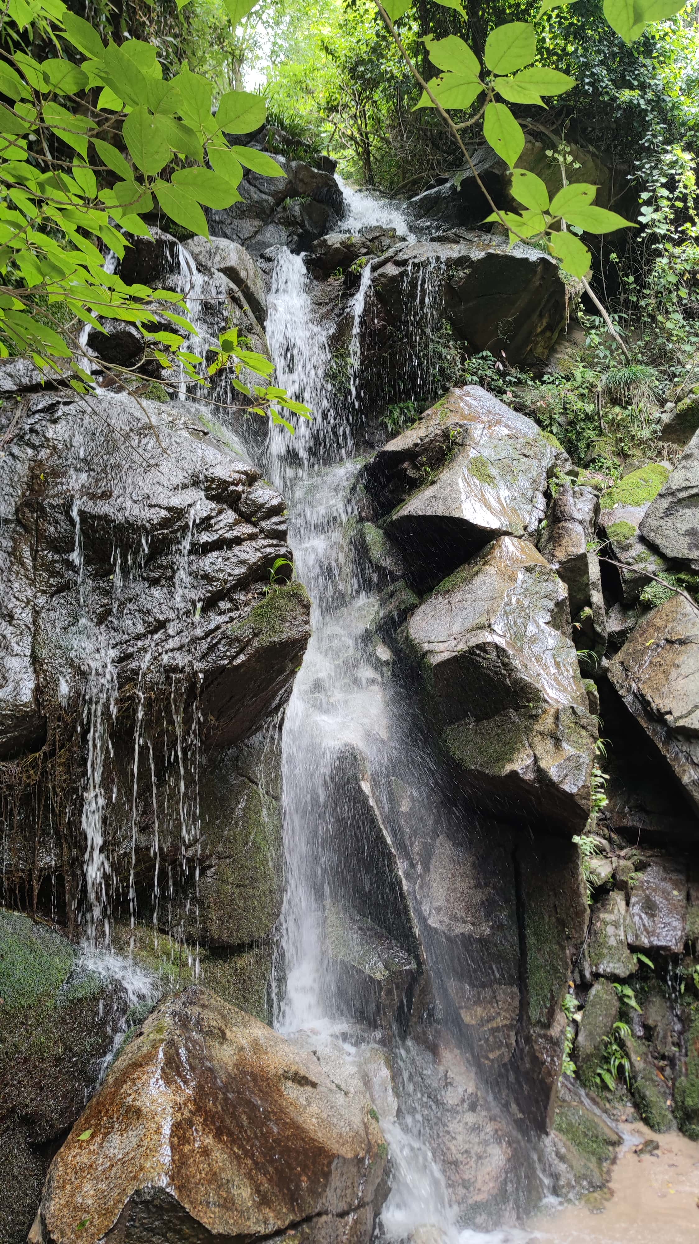 MVIMG_20250617_111157