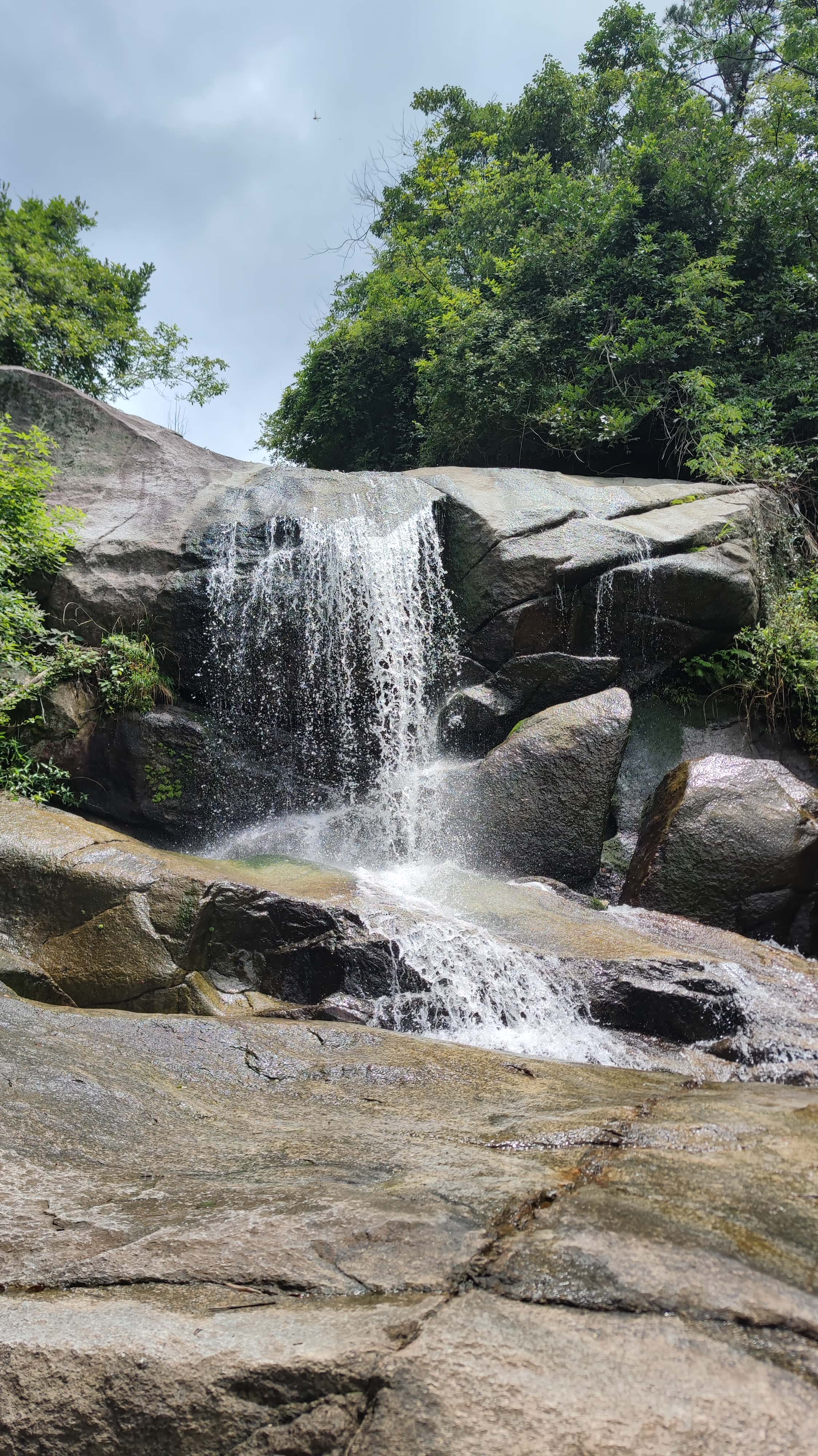 MVIMG_20250617_113227