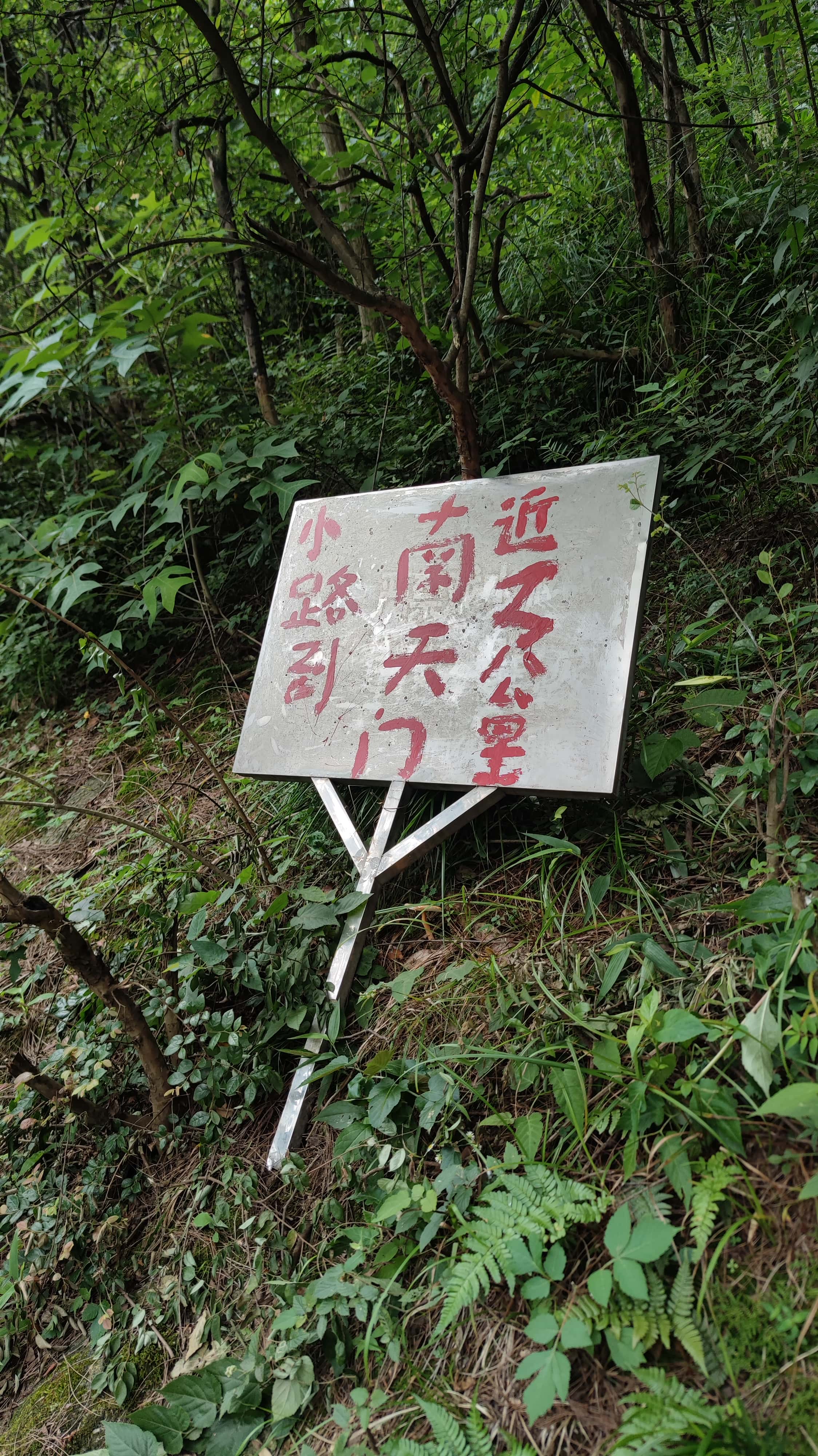 MVIMG_20250617_113910