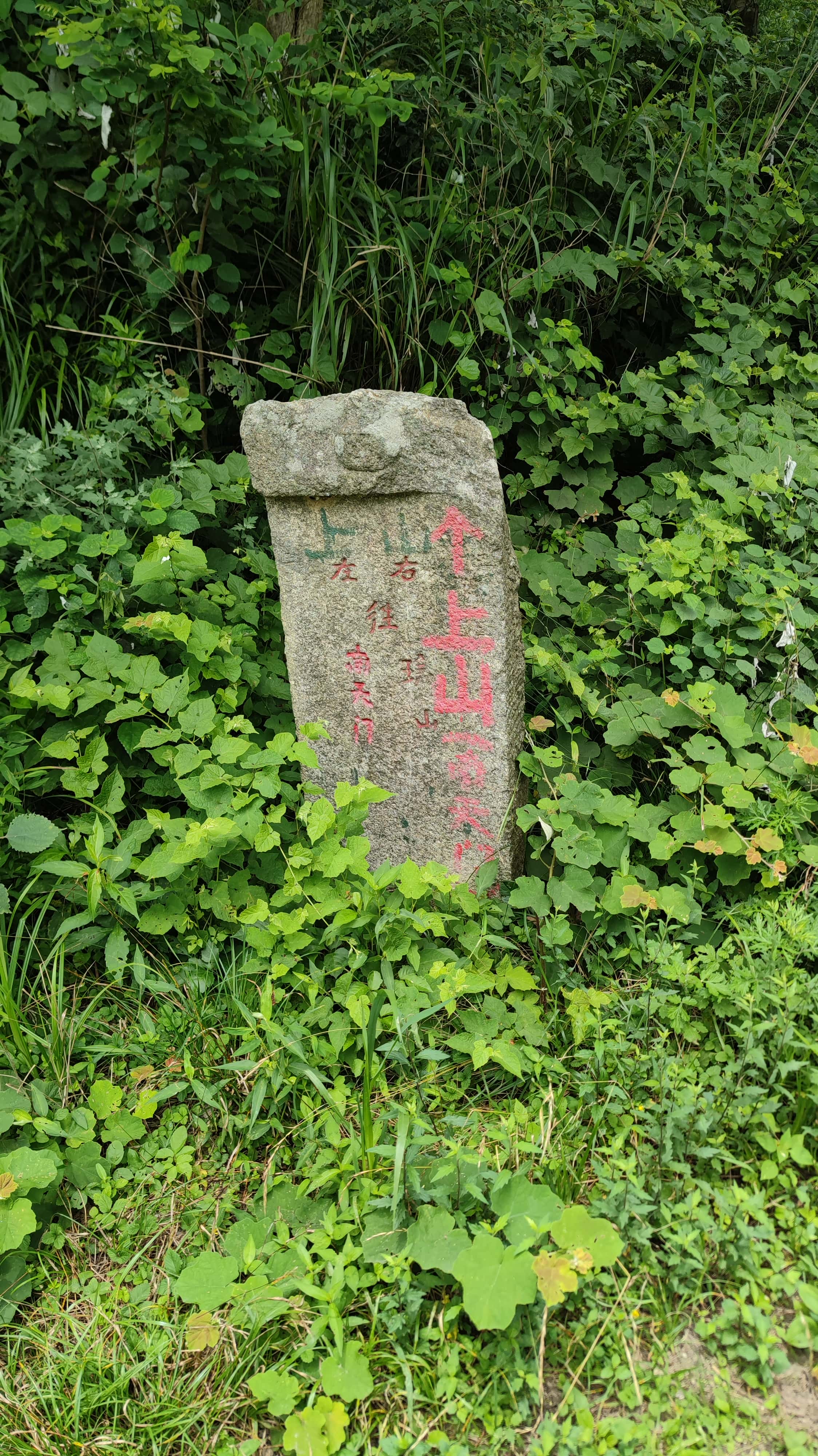 MVIMG_20250617_120039