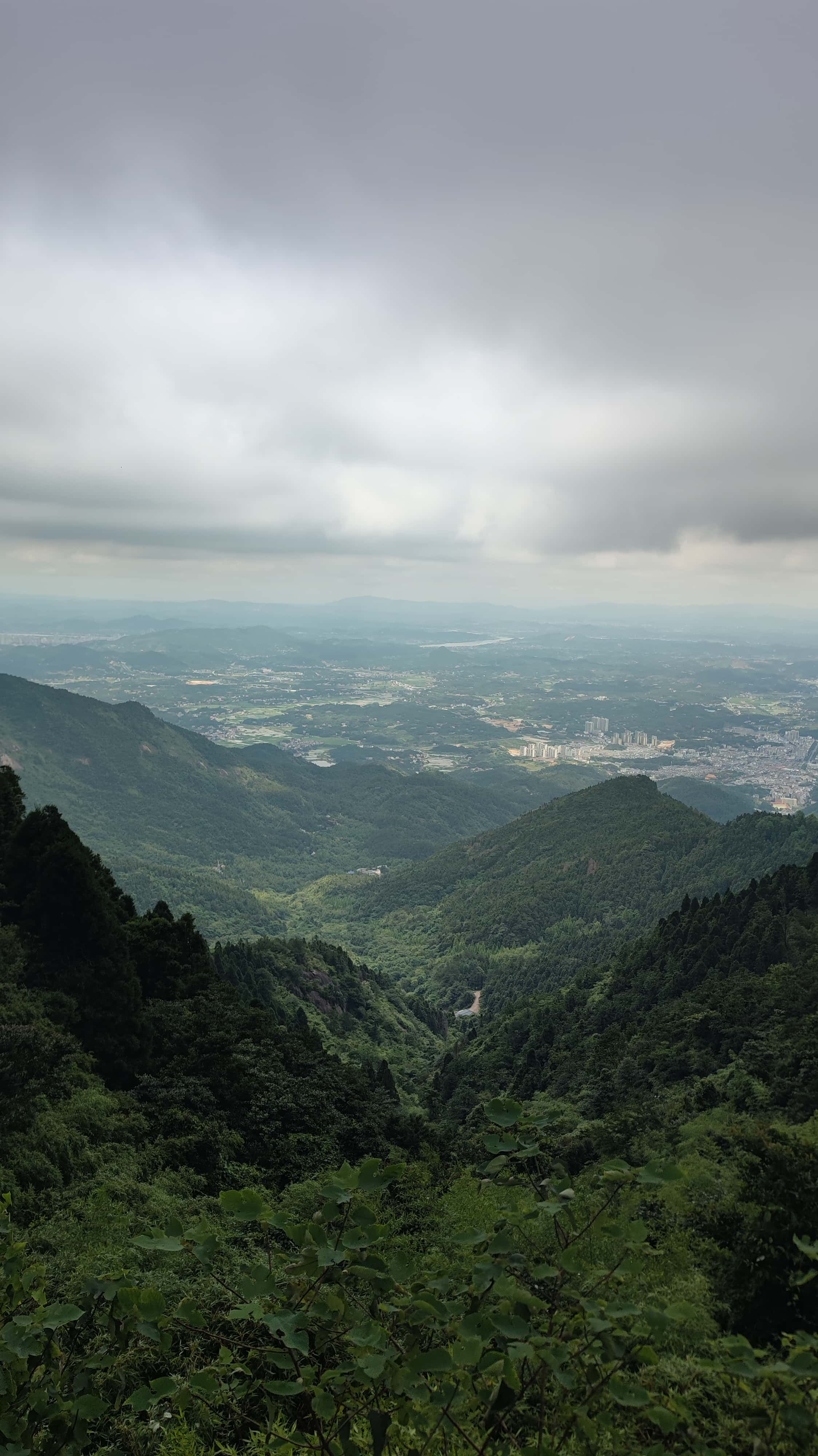 MVIMG_20250617_131415