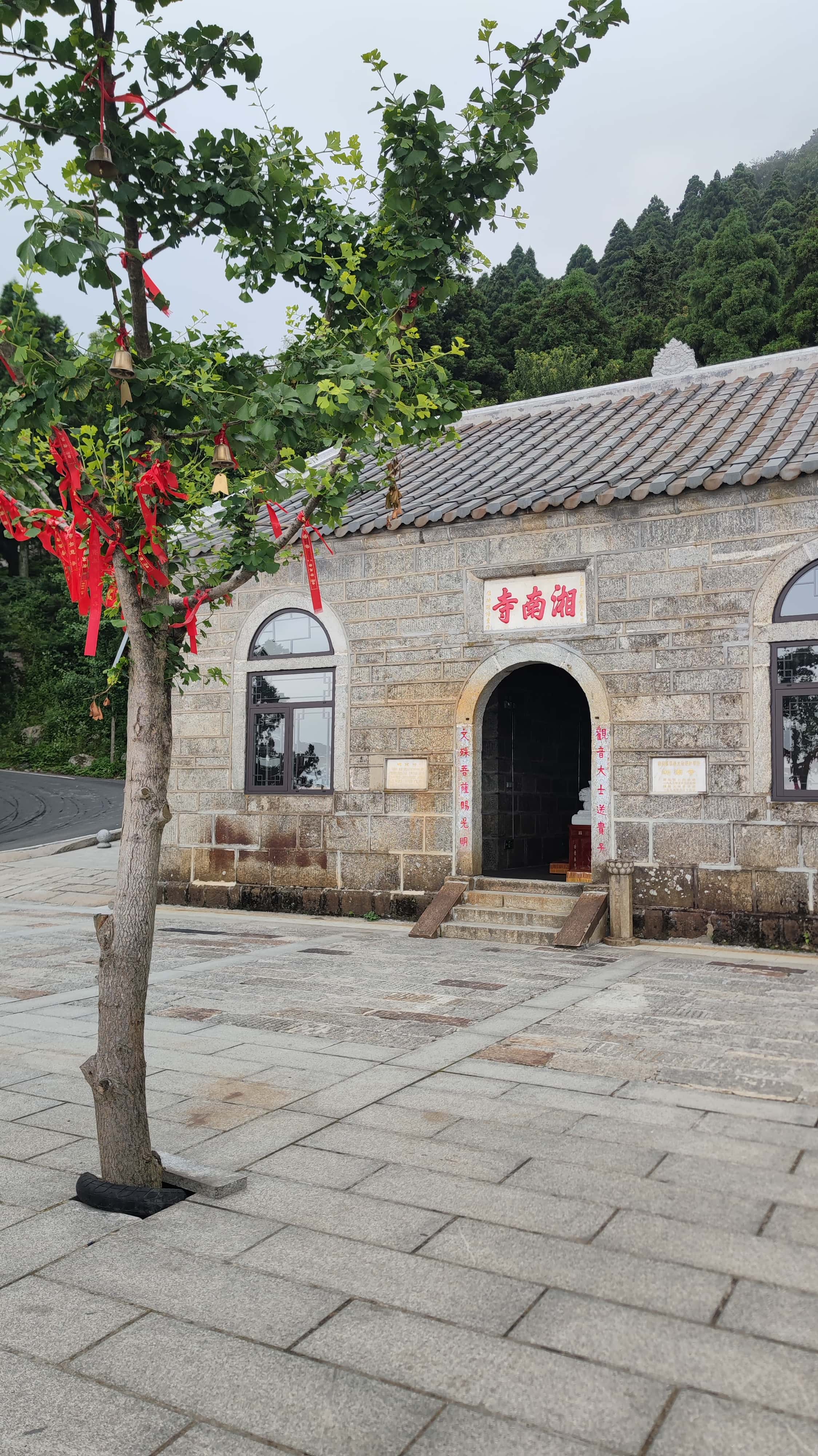 MVIMG_20250617_131507