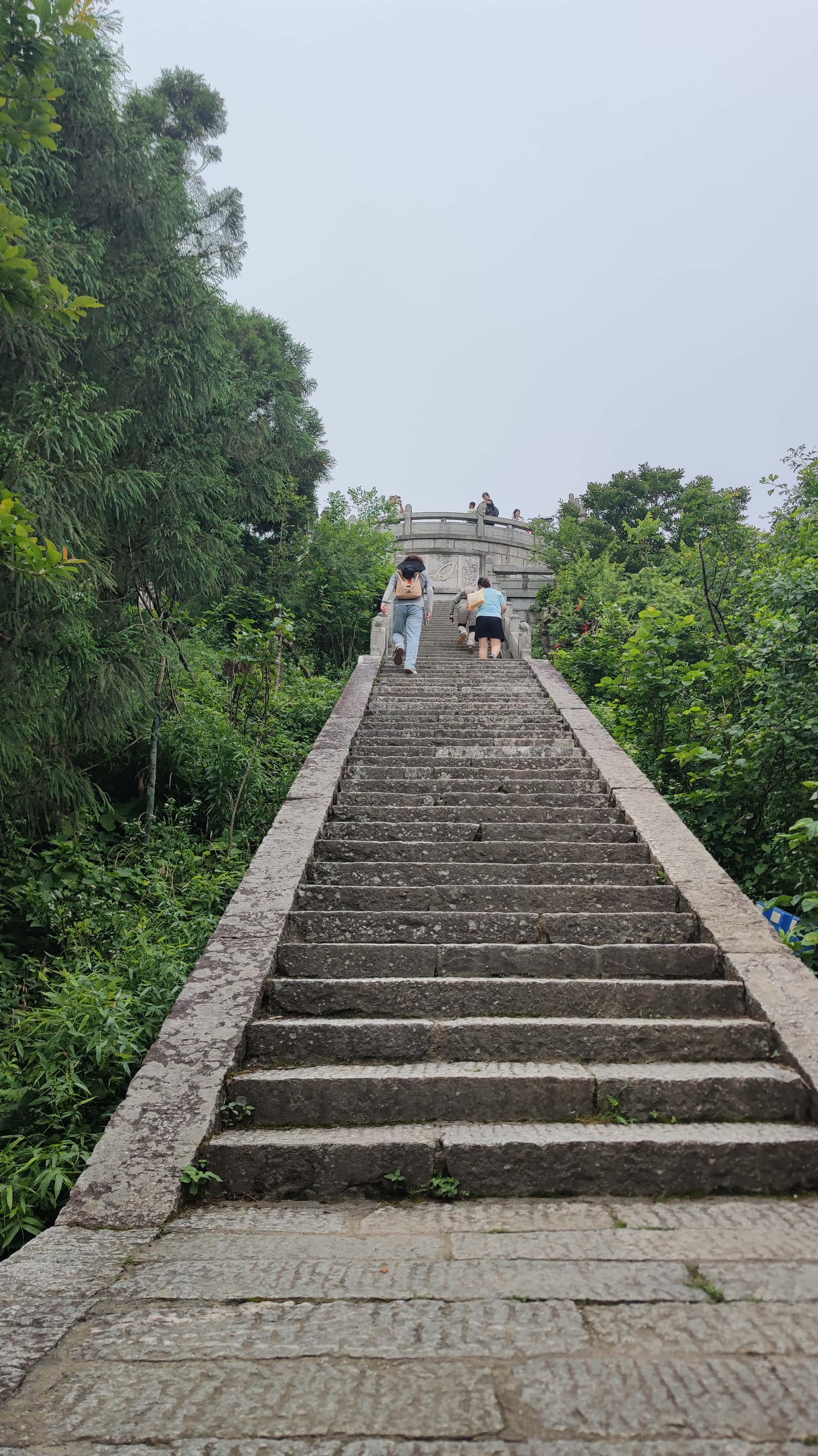 MVIMG_20250617_132723