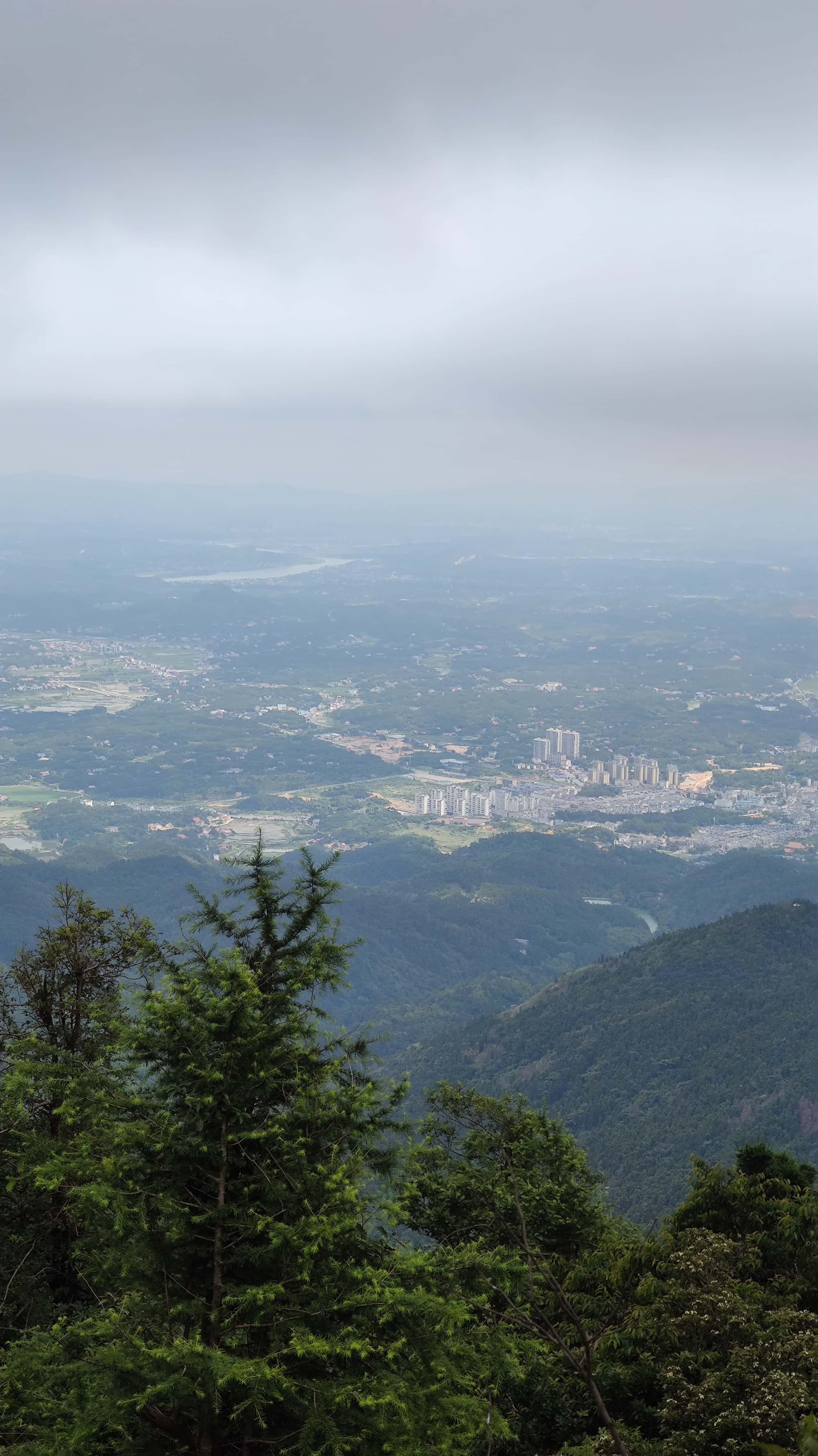 MVIMG_20250617_132825