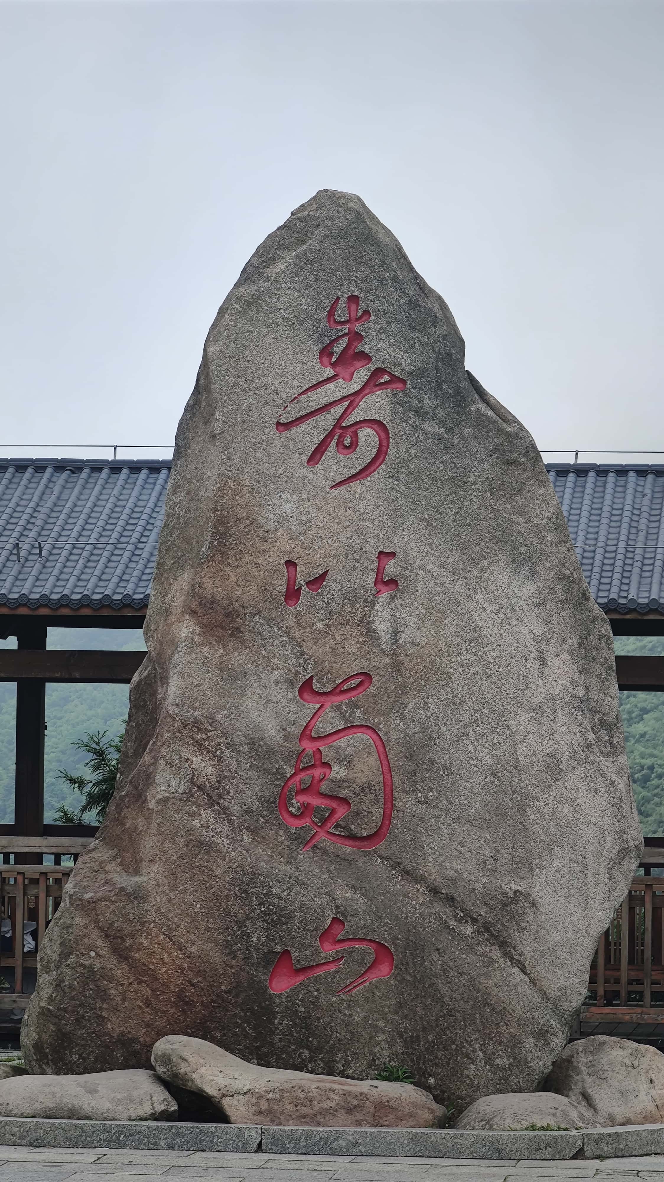 MVIMG_20250617_133149