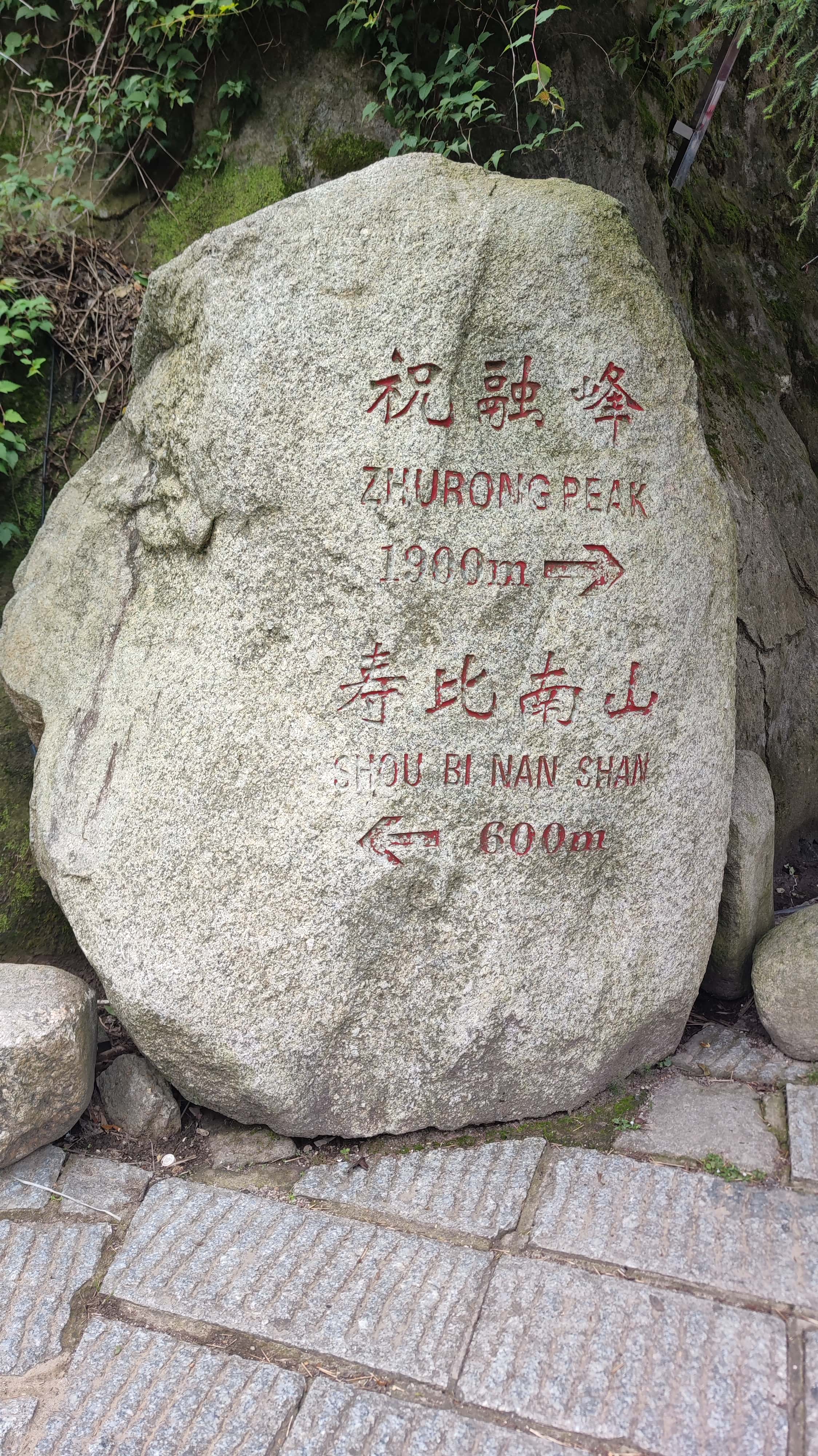 MVIMG_20250617_134032