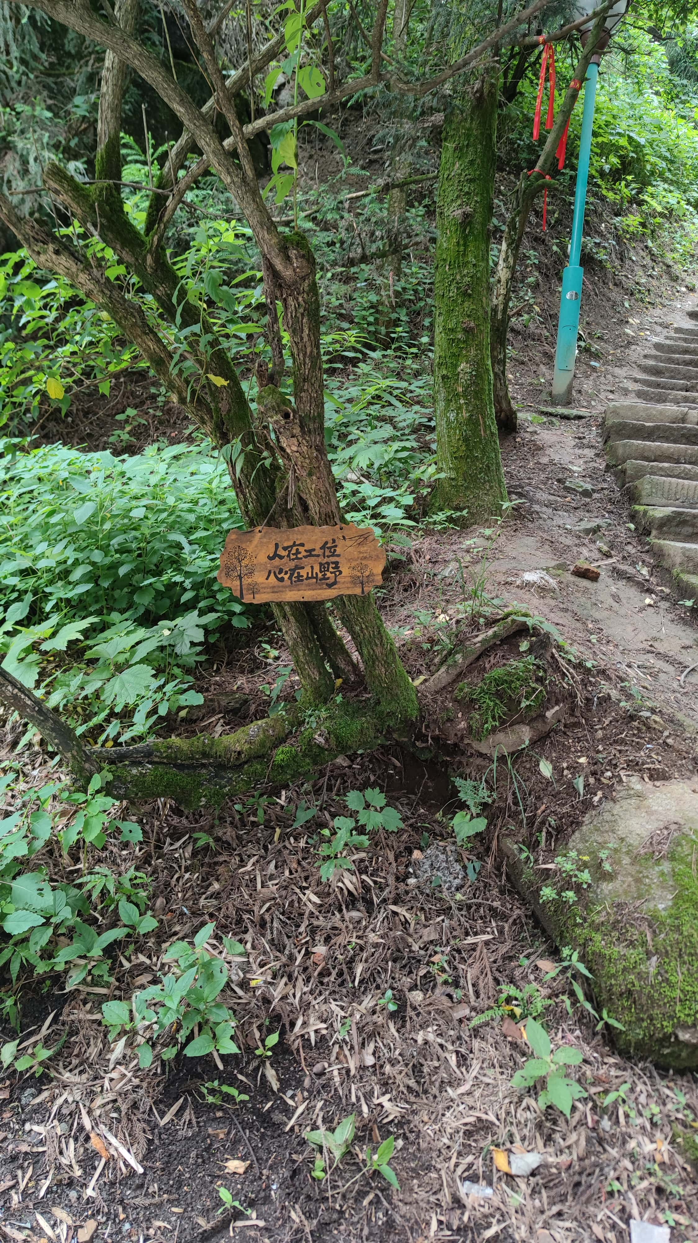 MVIMG_20250617_134854