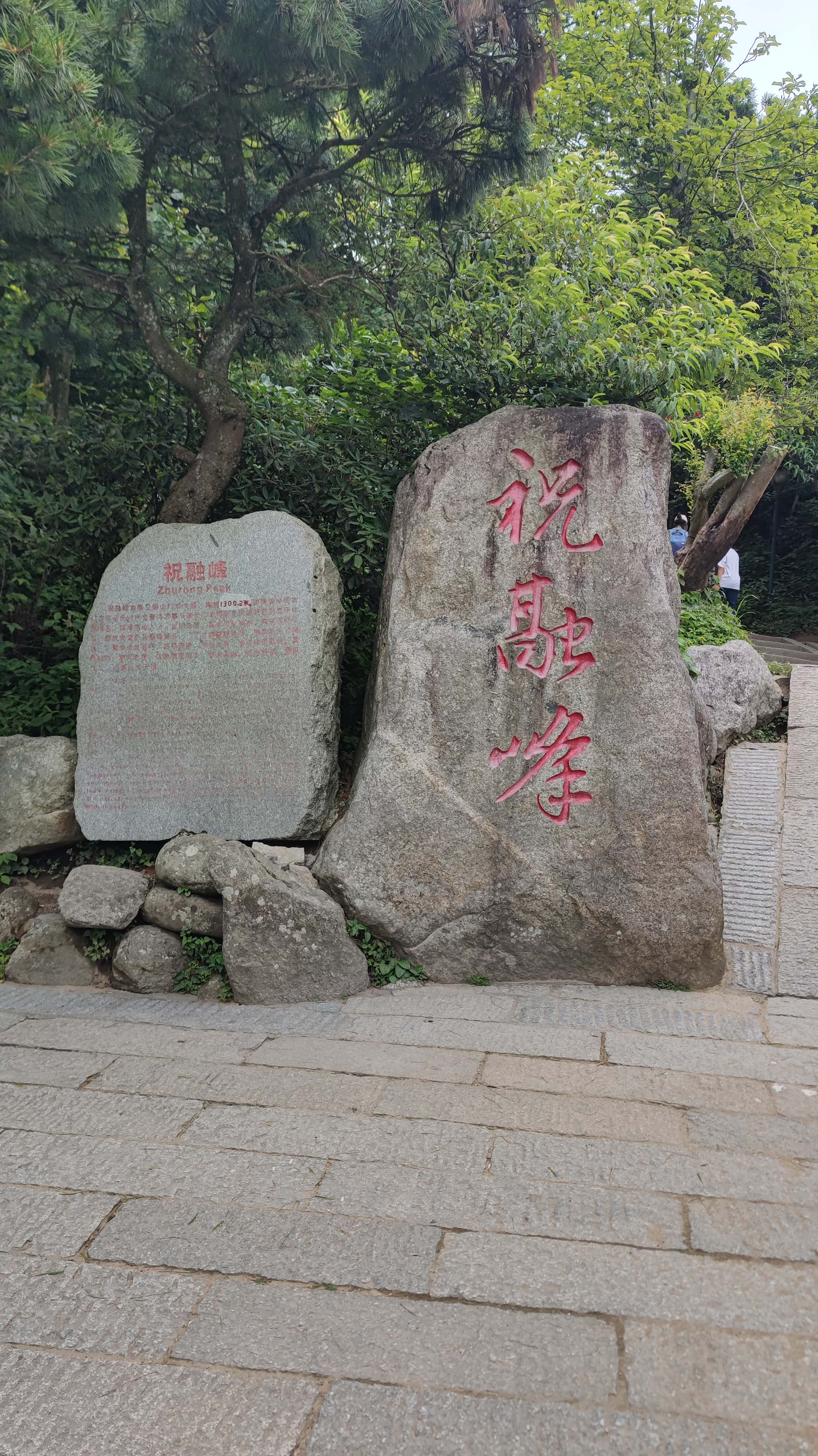 MVIMG_20250617_140536