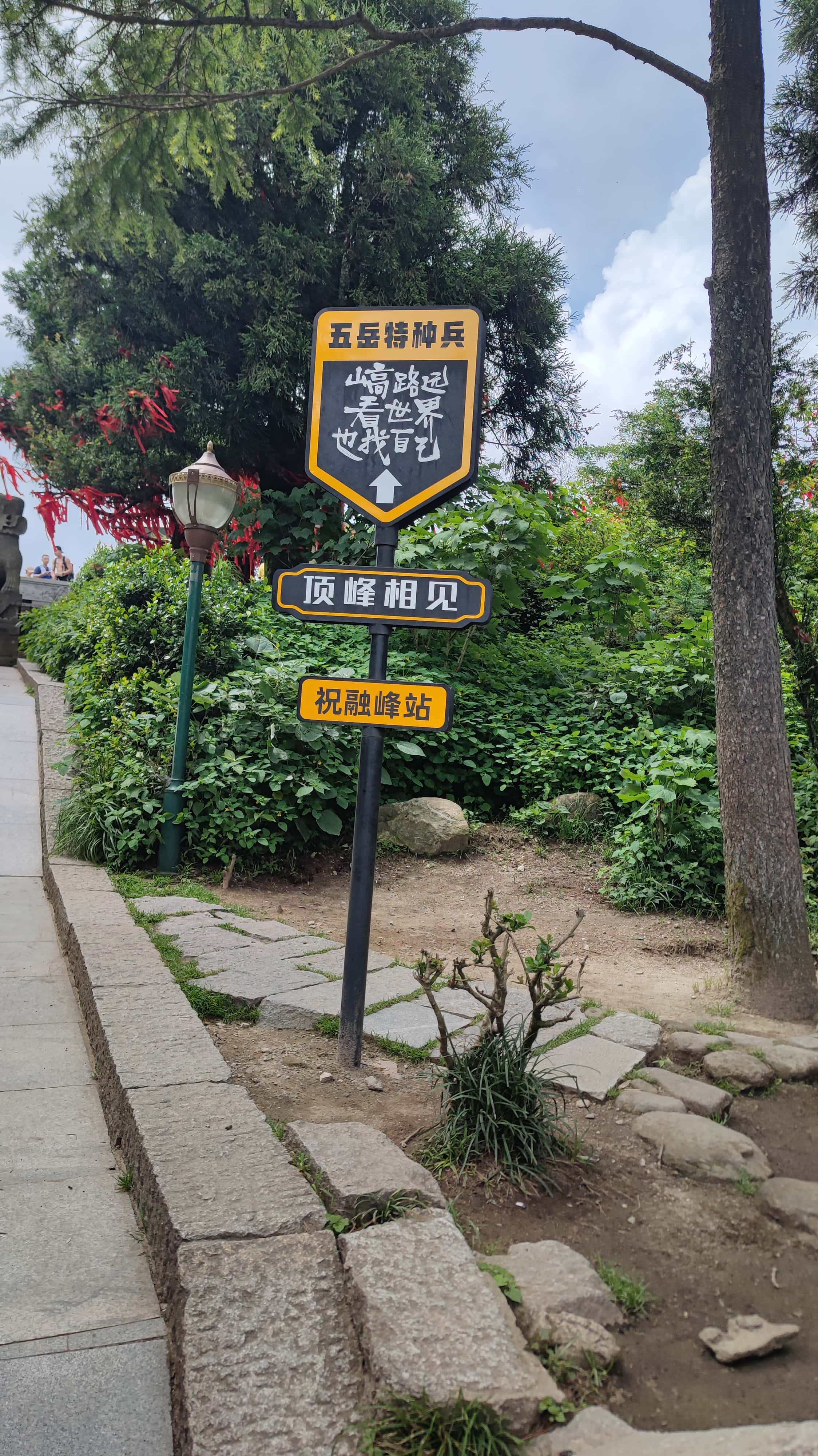 MVIMG_20250617_140827