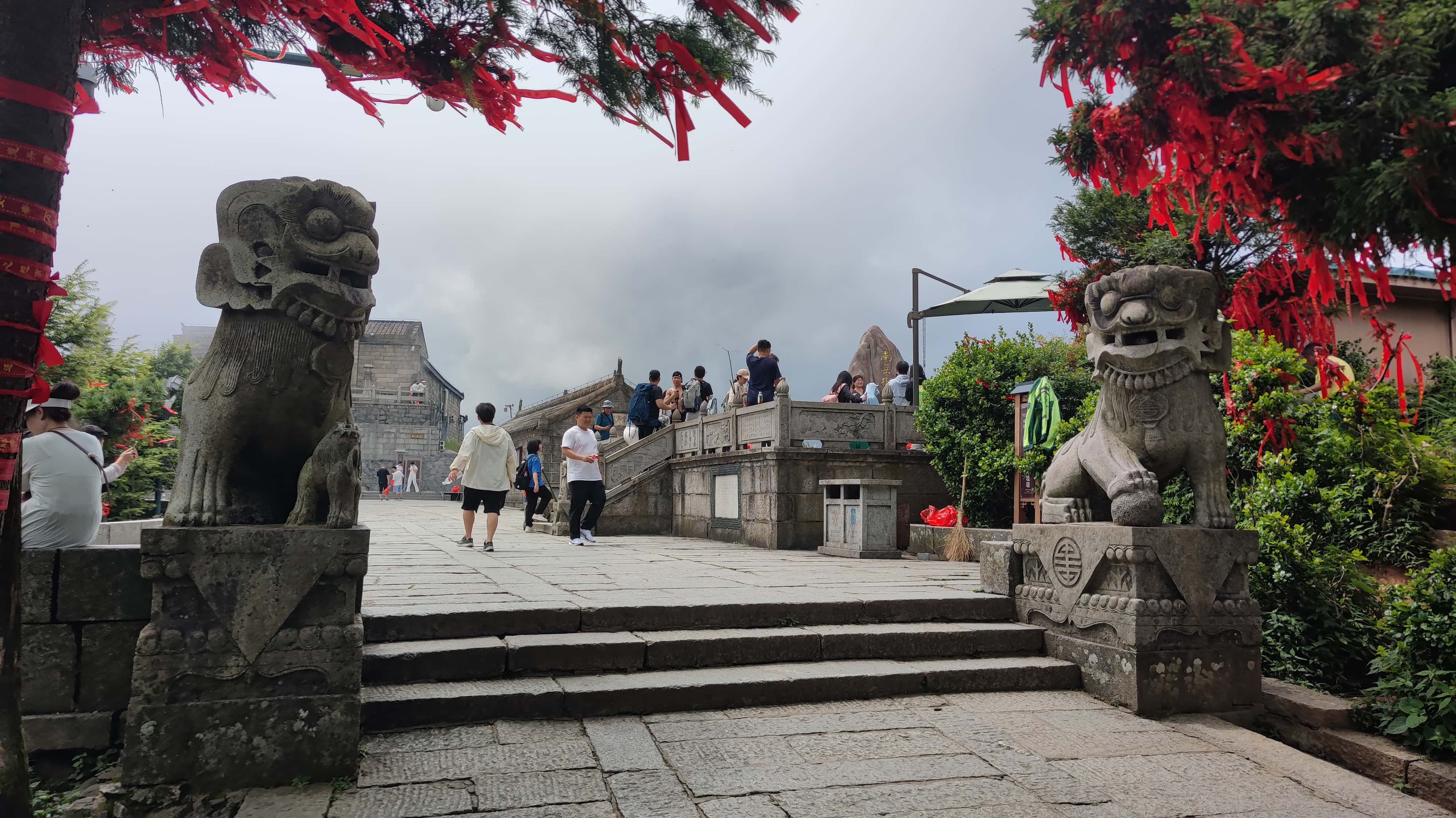 MVIMG_20250617_140846