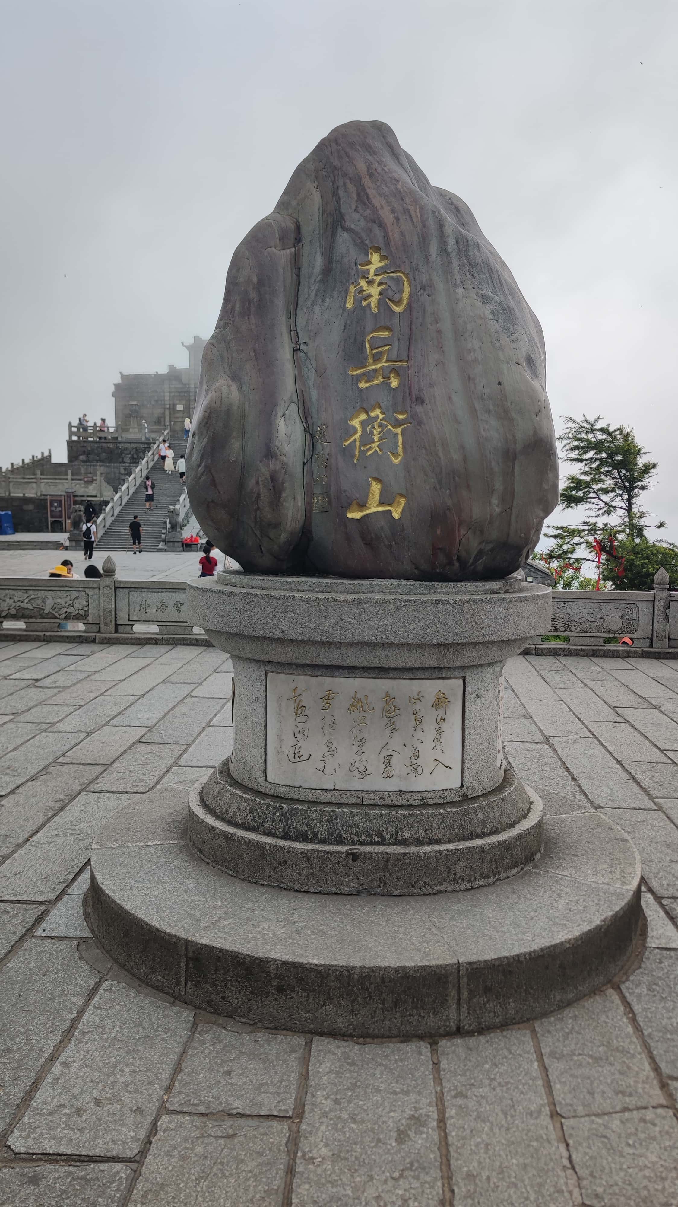 MVIMG_20250617_141027