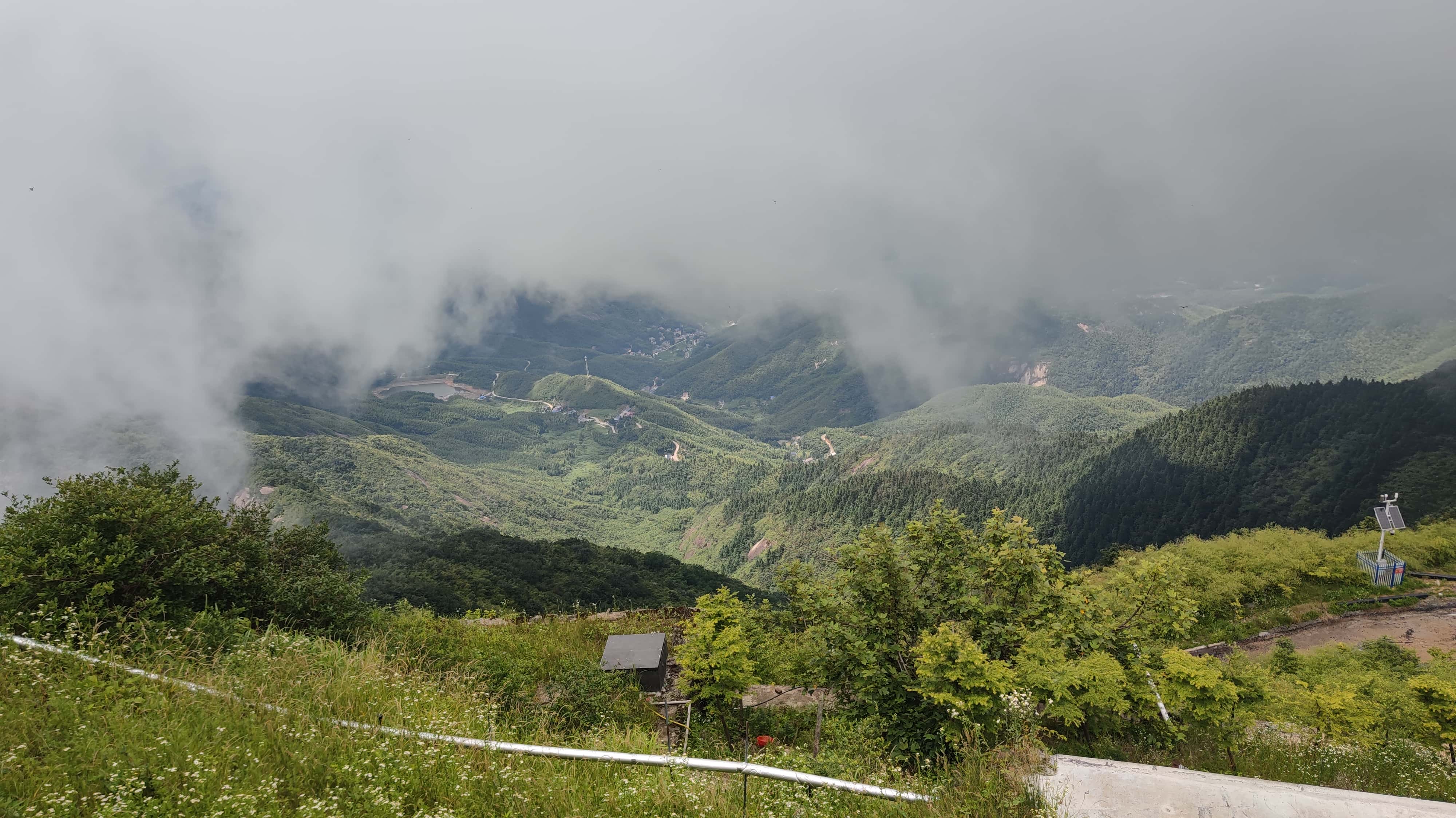 MVIMG_20250617_141221