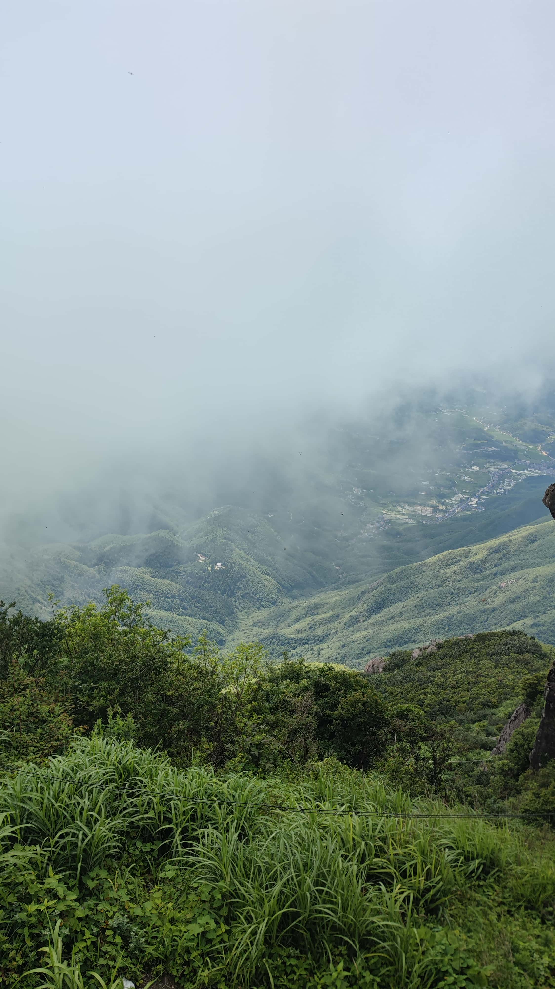 MVIMG_20250617_142113