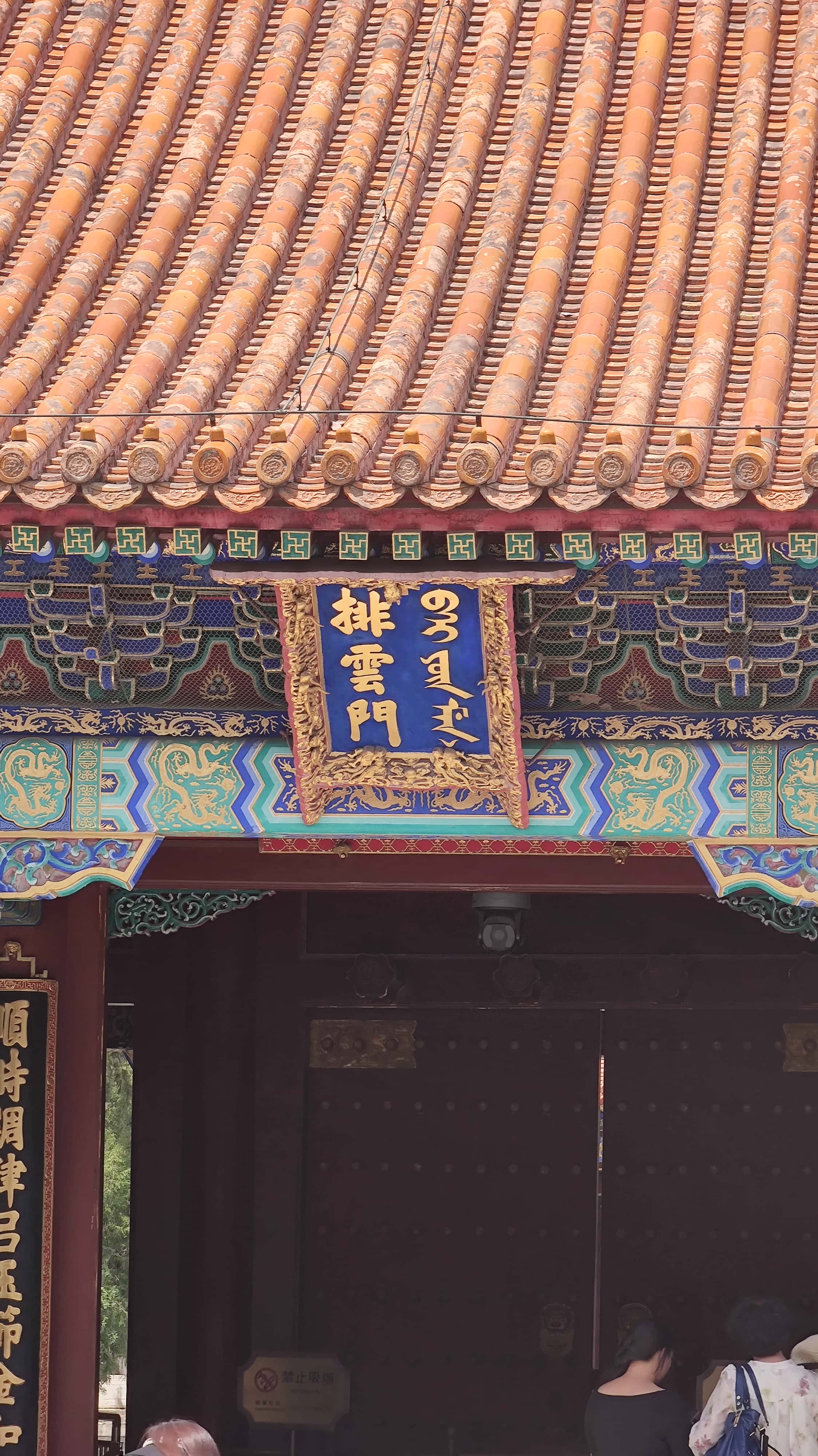 MVIMG_20250605_124808