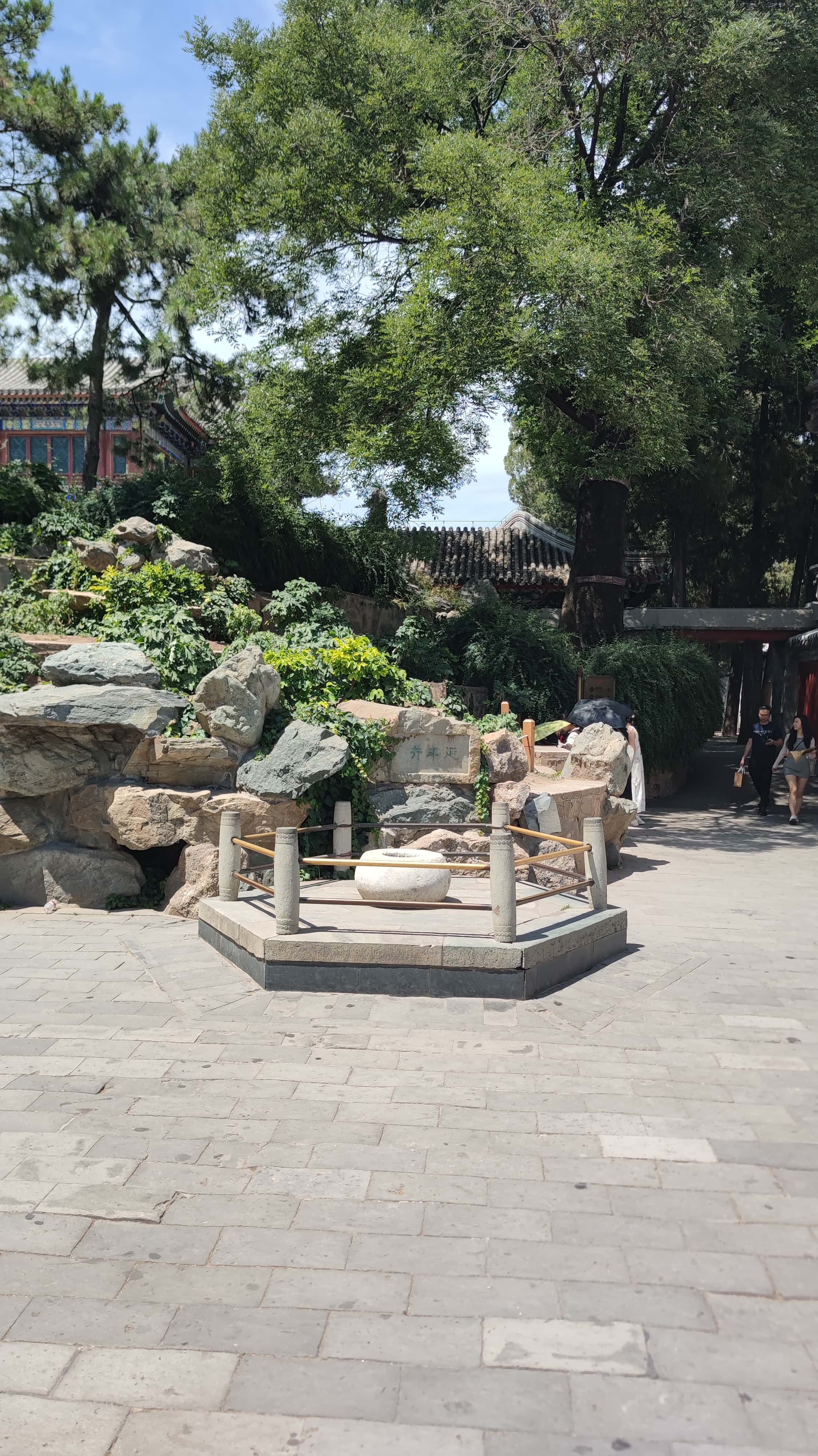 MVIMG_20250605_133204