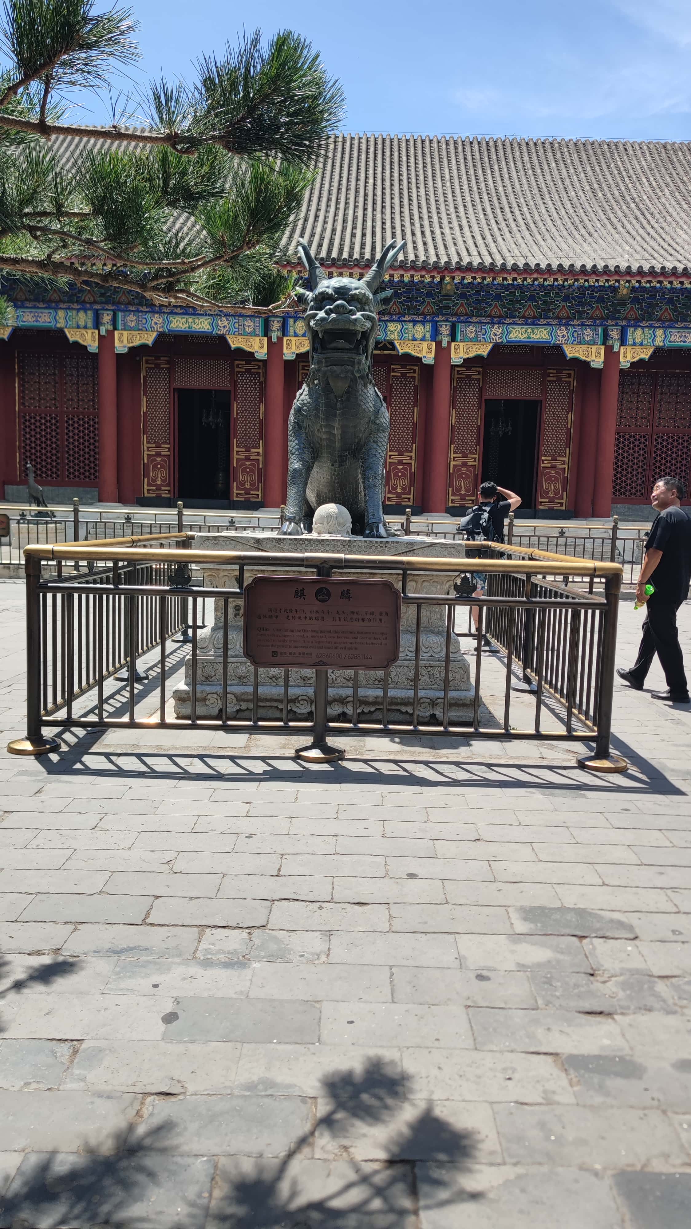 MVIMG_20250605_133317