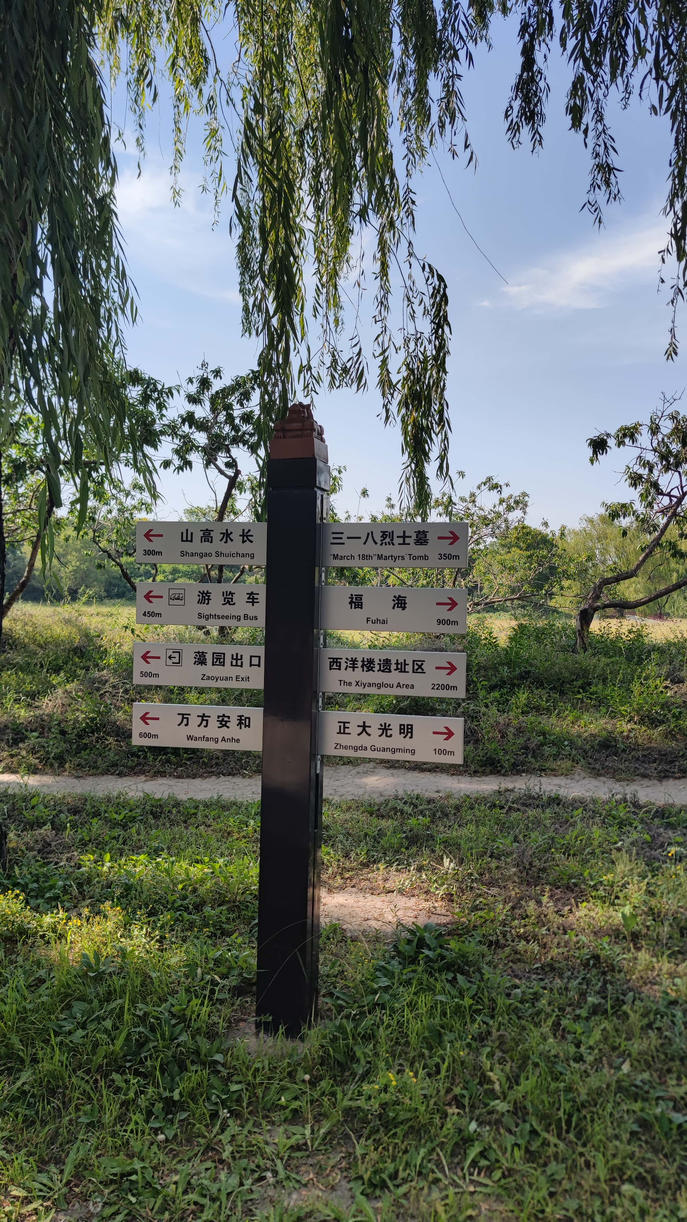 MVIMG_20250605_160151