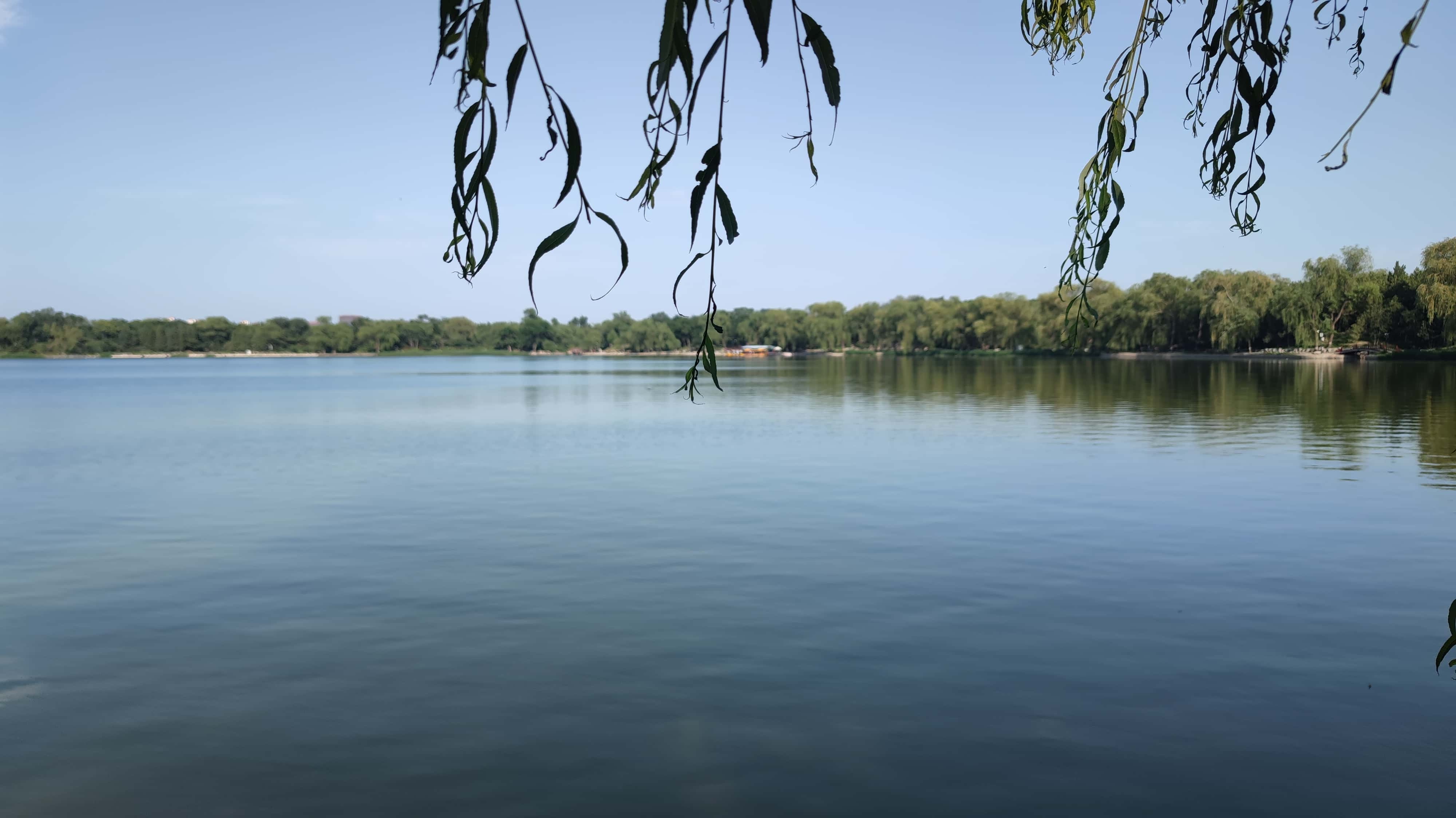 MVIMG_20250605_165436