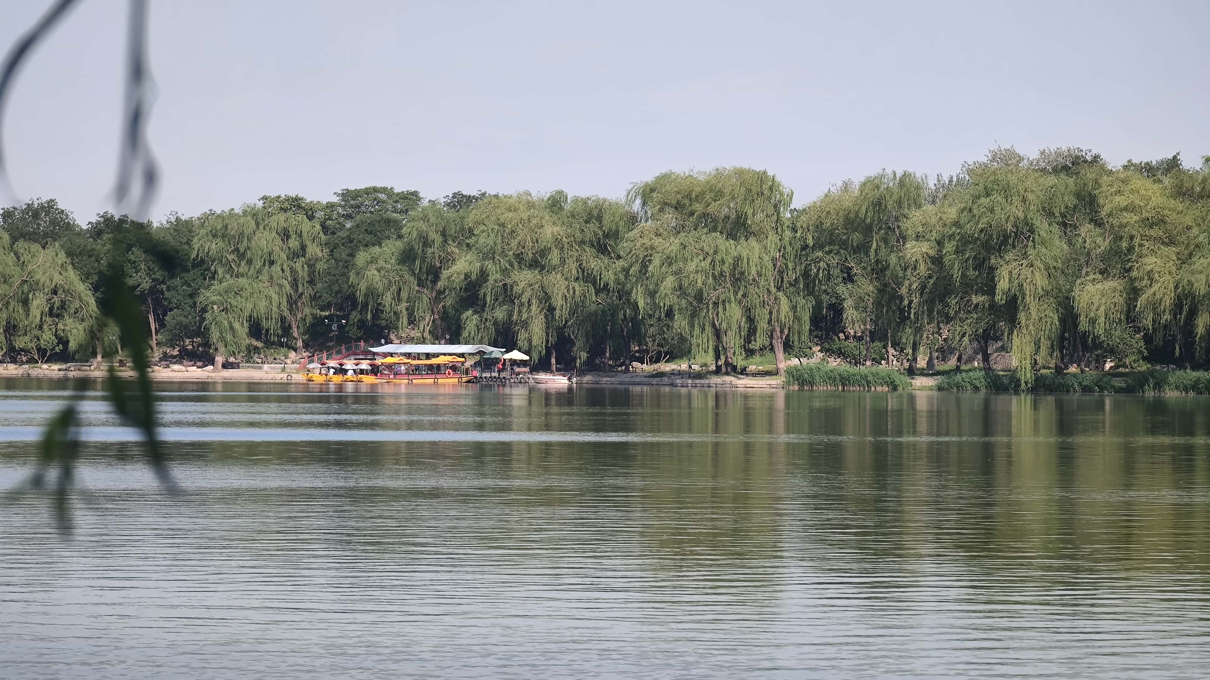 MVIMG_20250605_165452