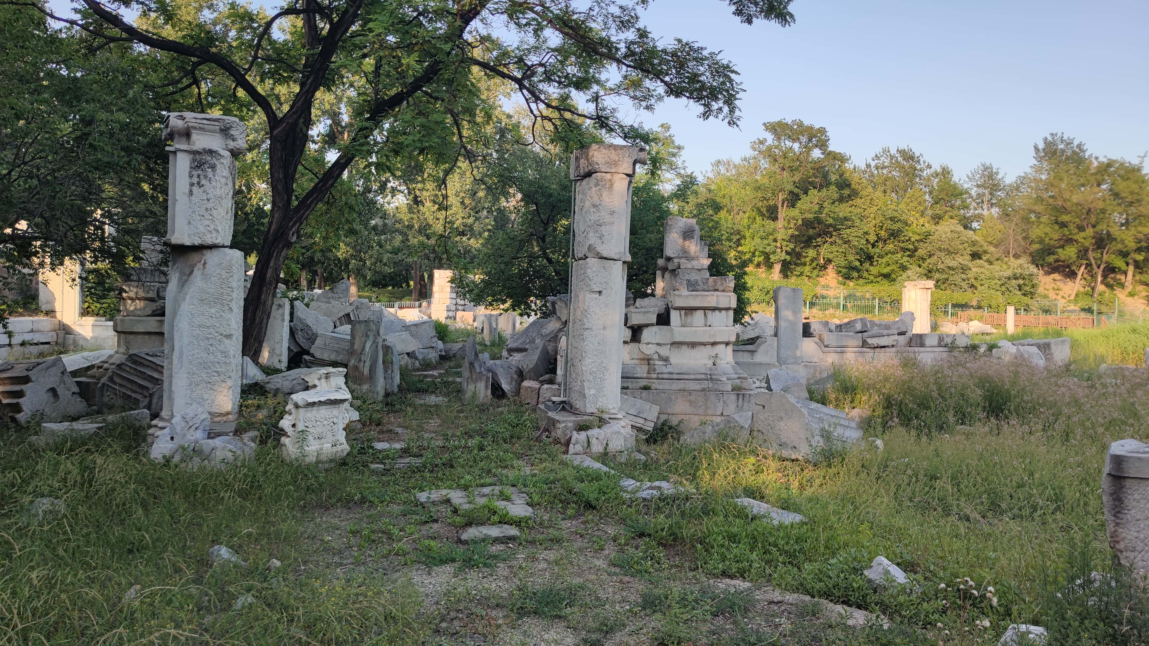 MVIMG_20250605_181108