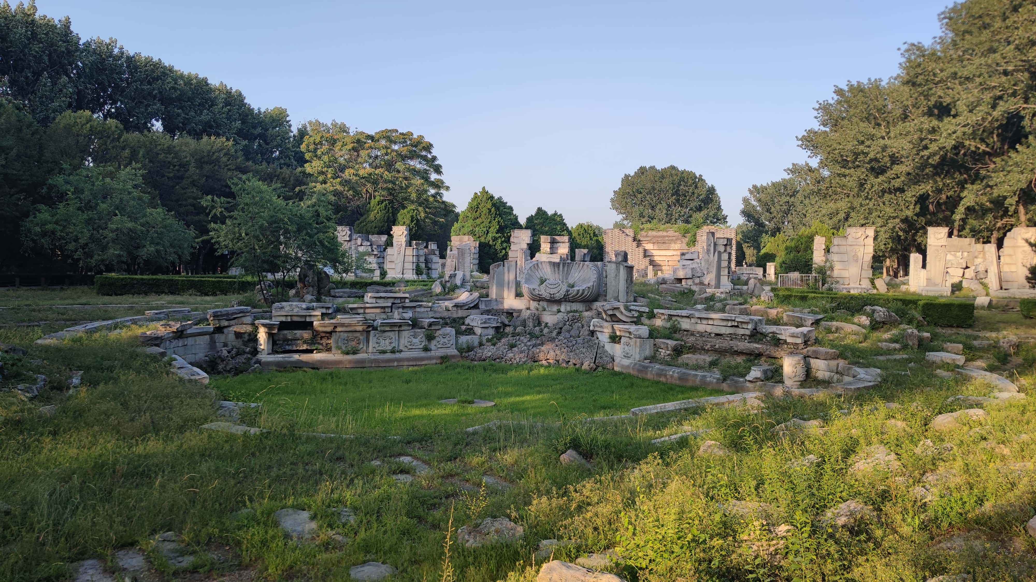 MVIMG_20250605_181826