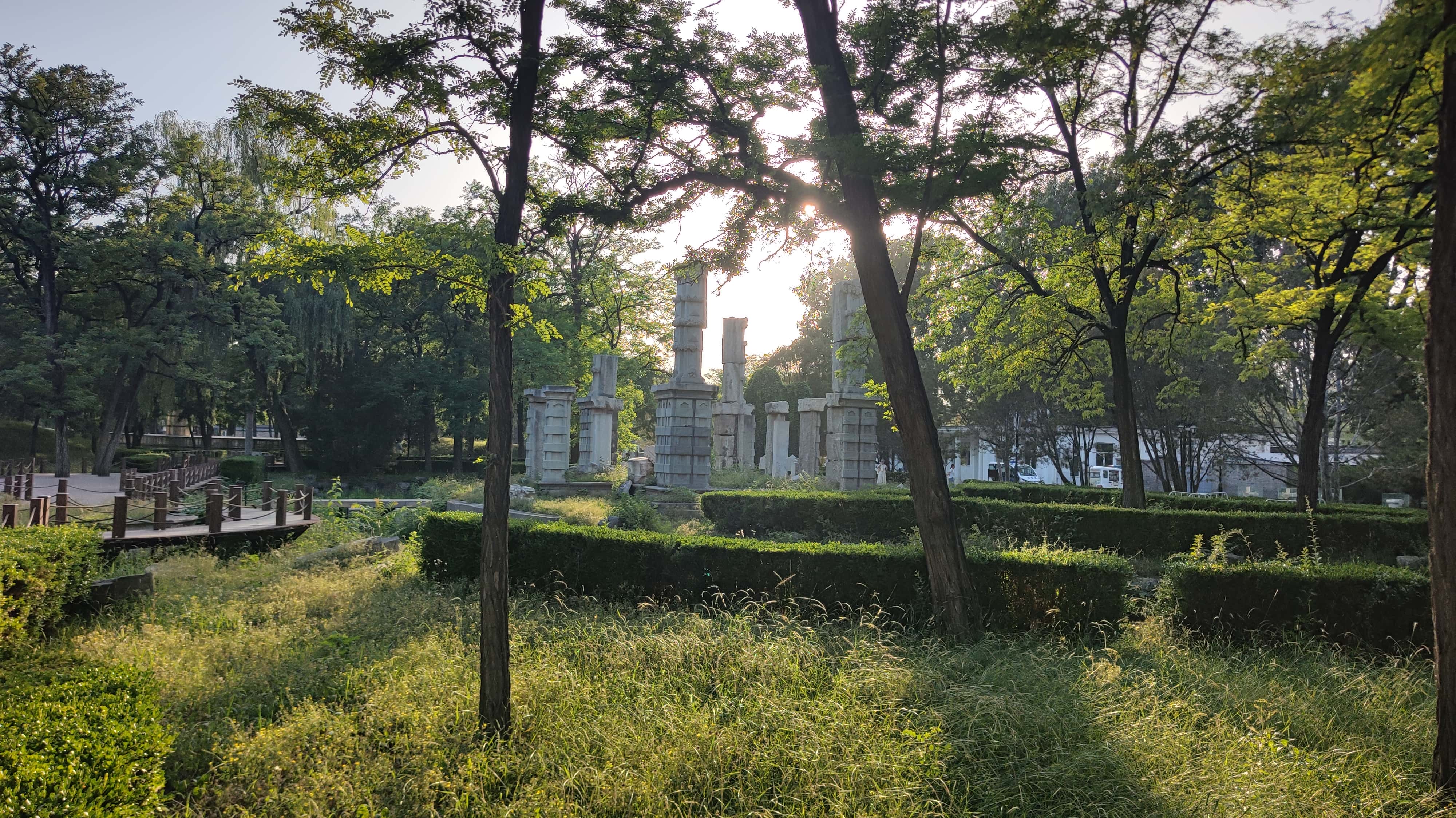 MVIMG_20250605_181918