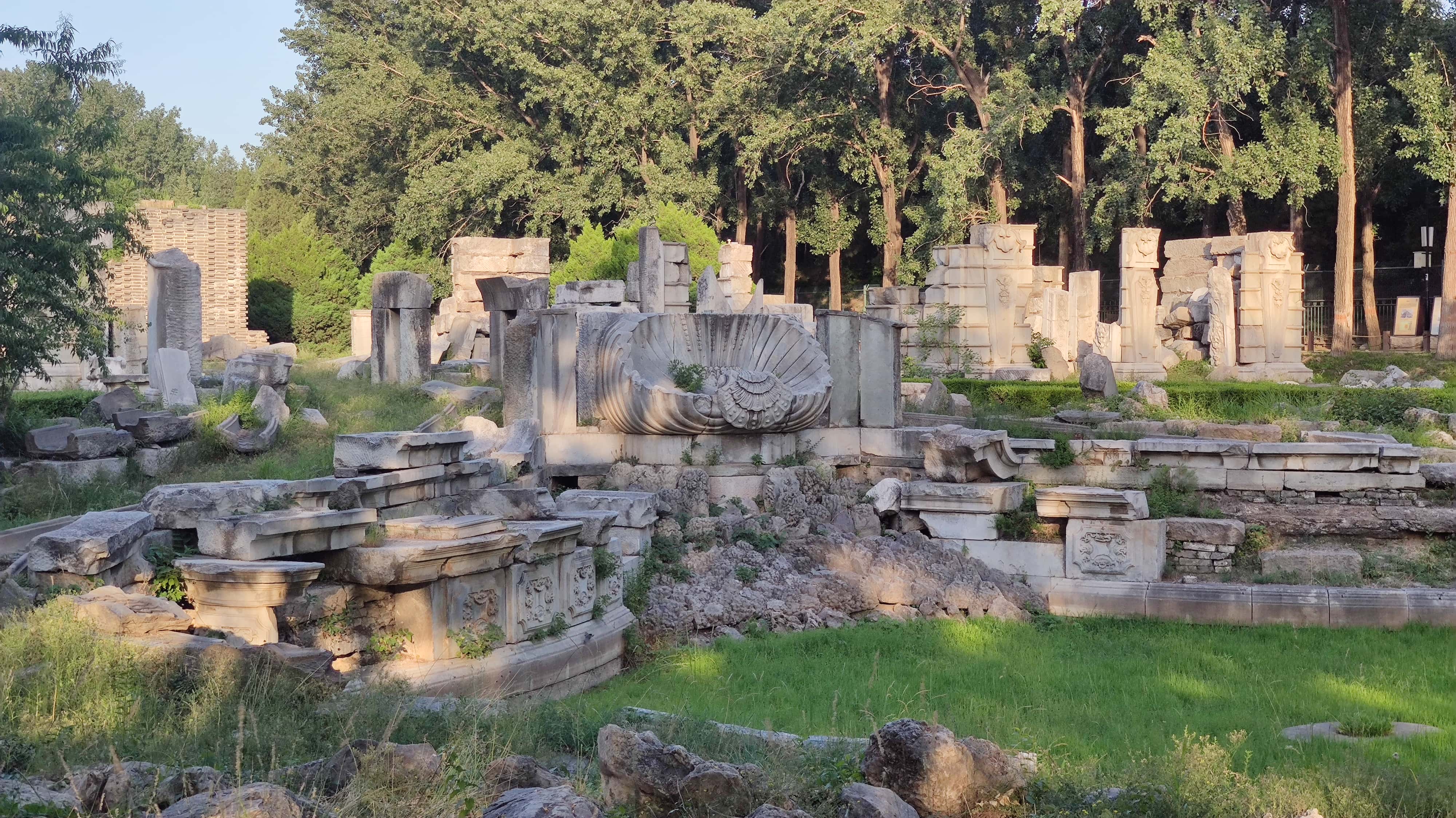 MVIMG_20250605_181939