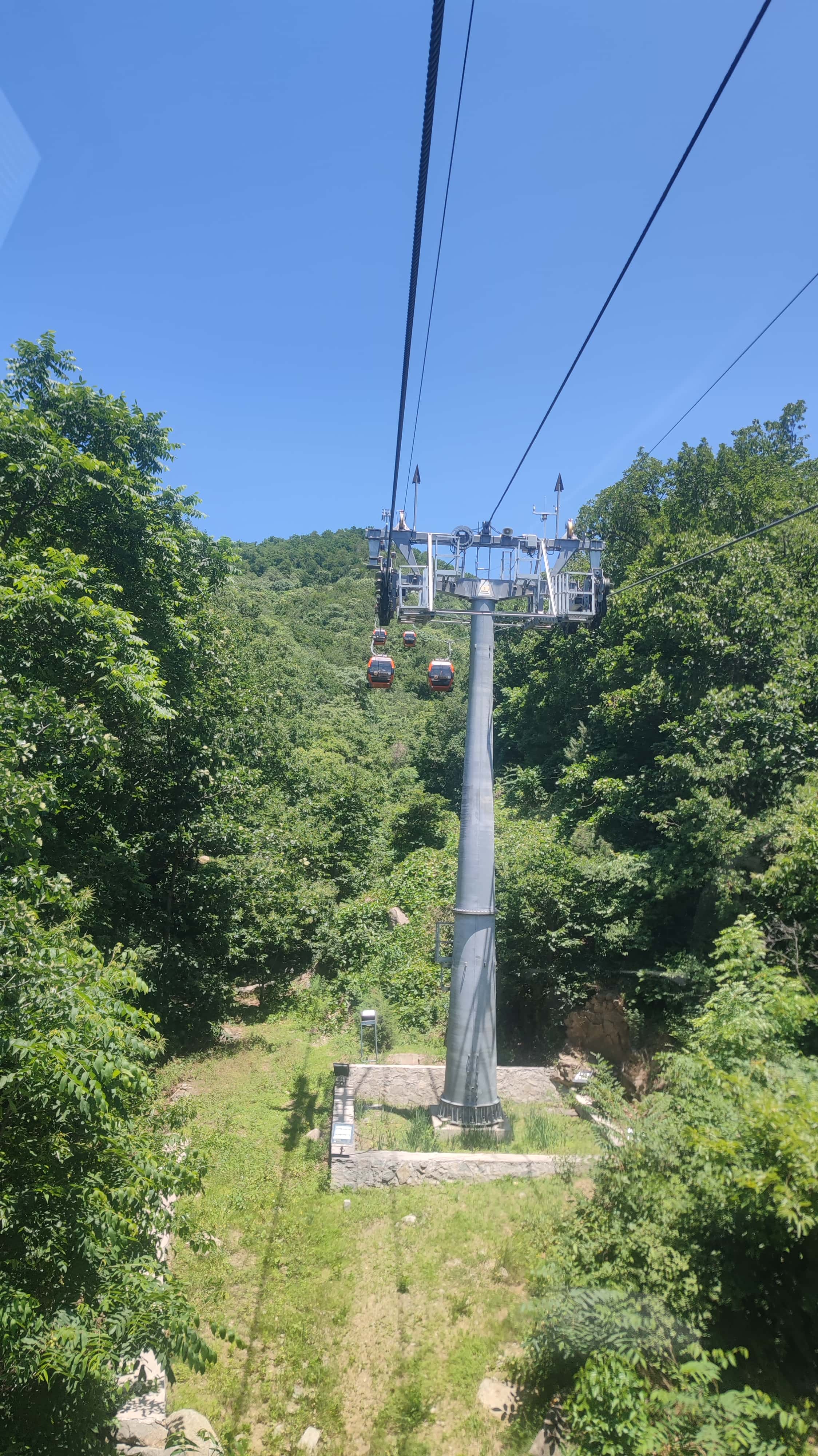 MVIMG_20250606_114513