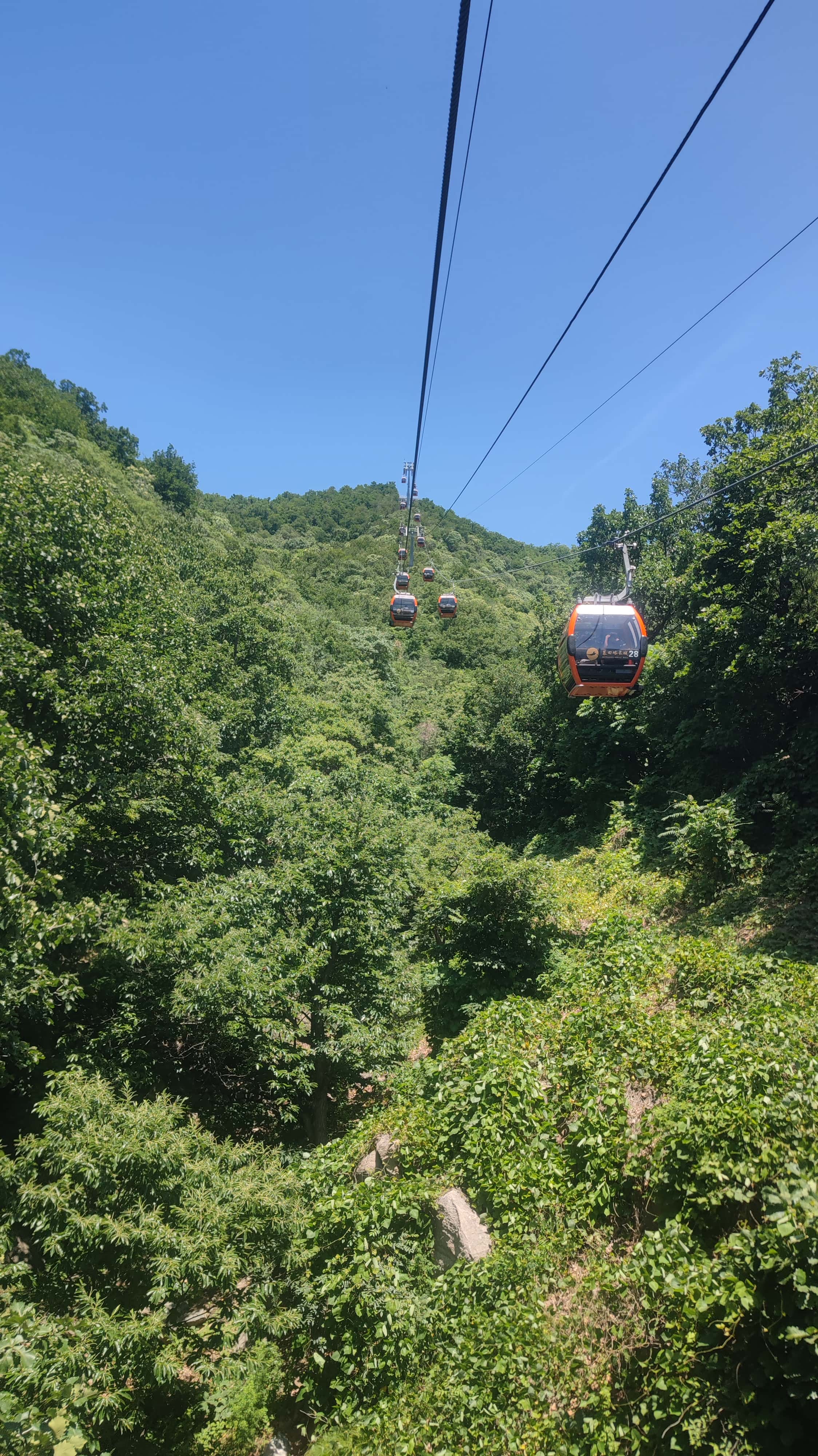 MVIMG_20250606_114519