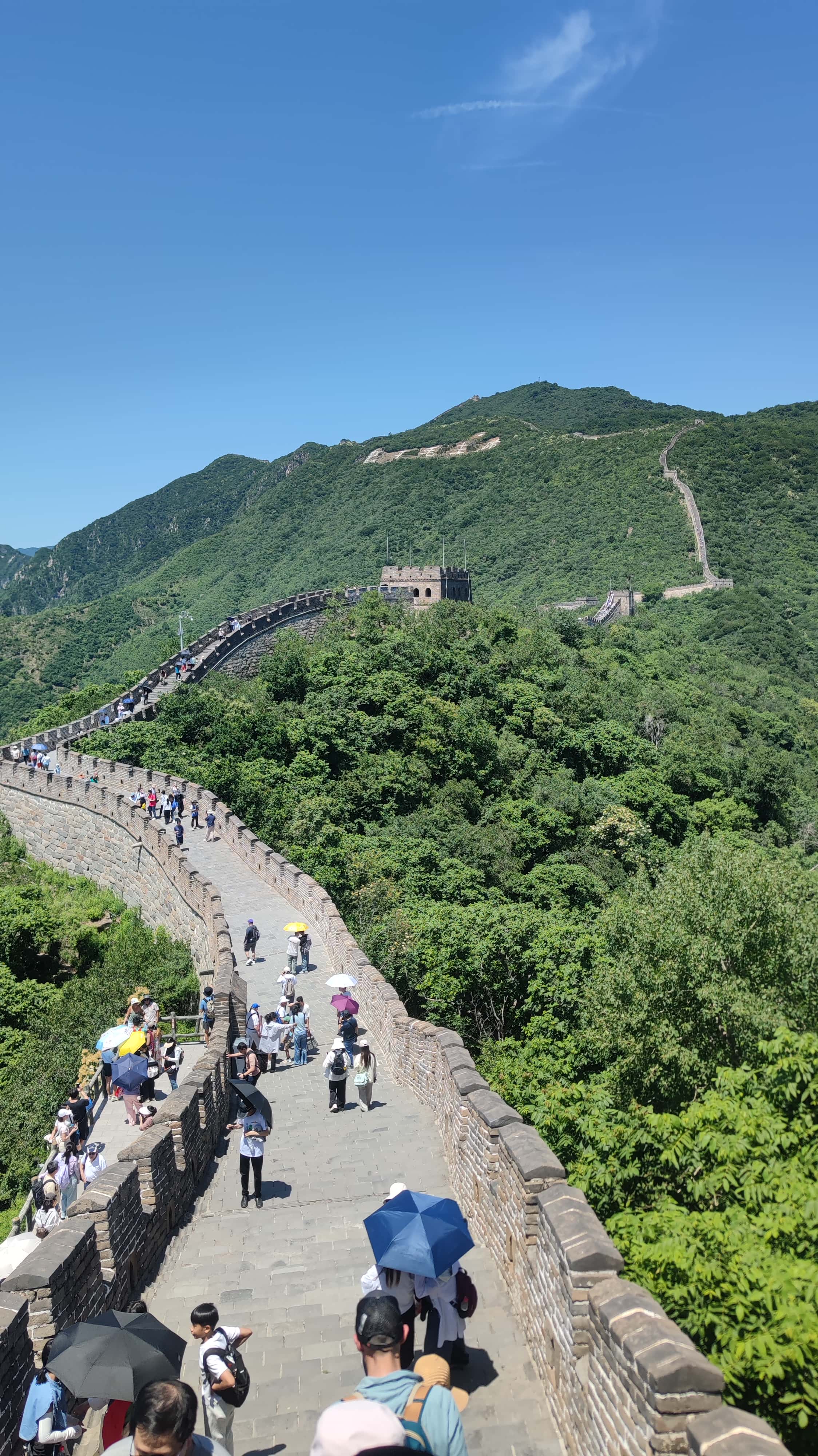 MVIMG_20250606_115724