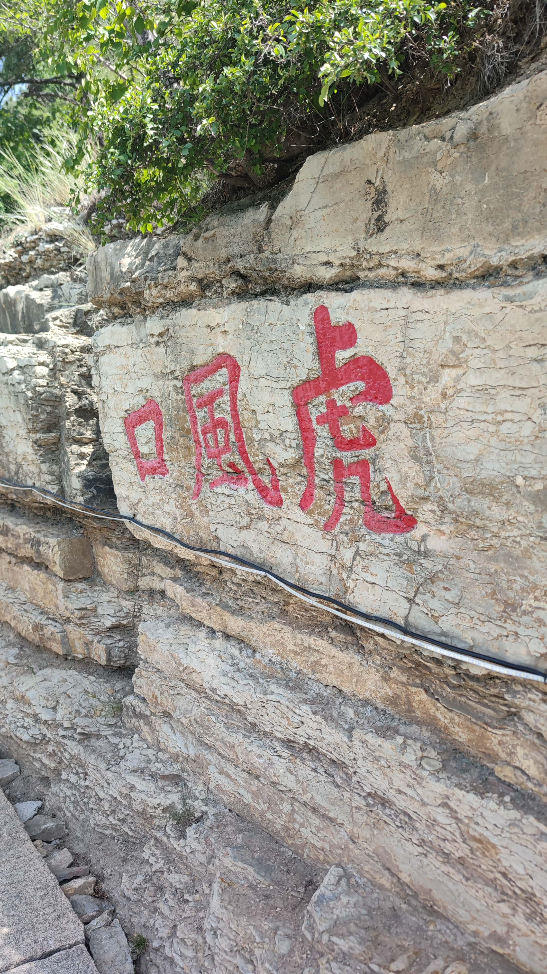 MVIMG_20250607_102354