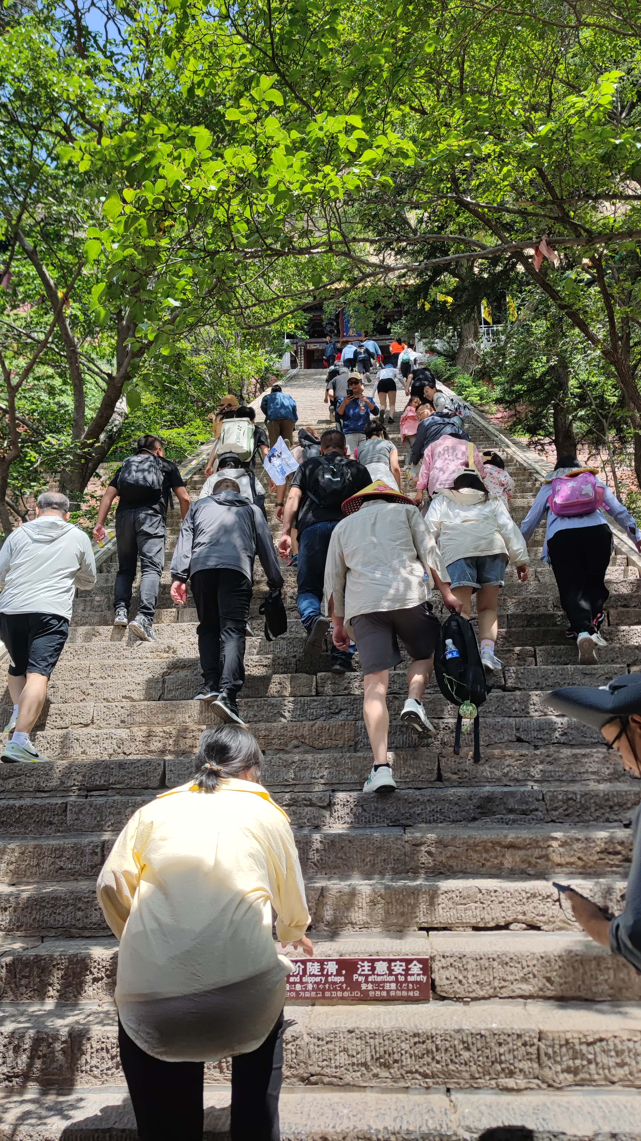 MVIMG_20250607_105421