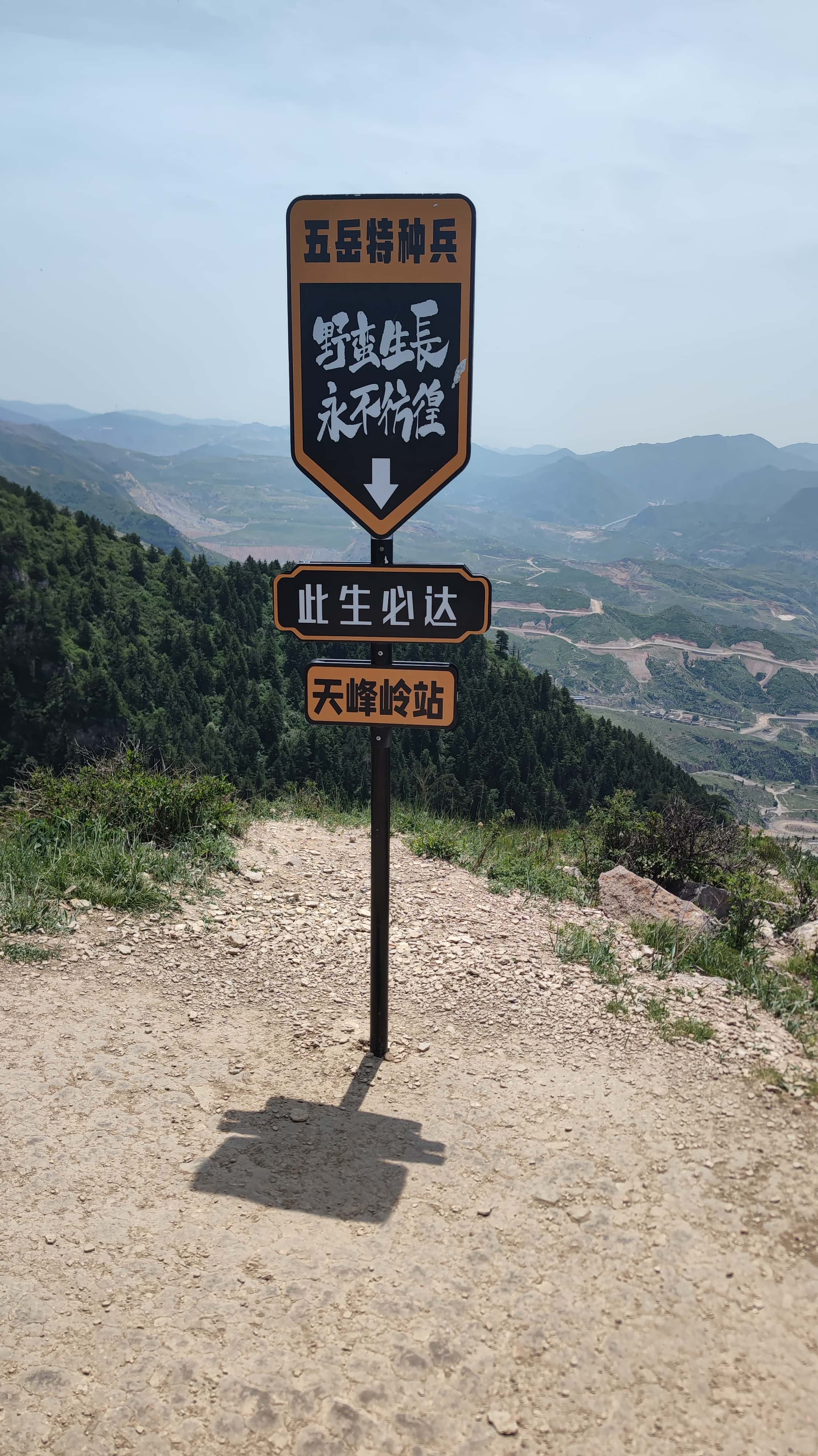 MVIMG_20250607_113821