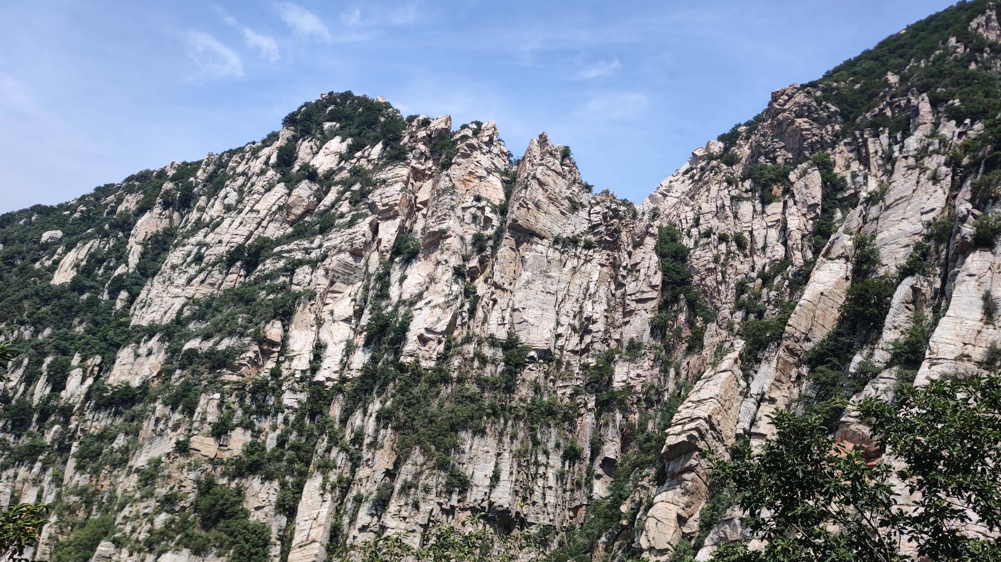 MVIMG_20250609_104648