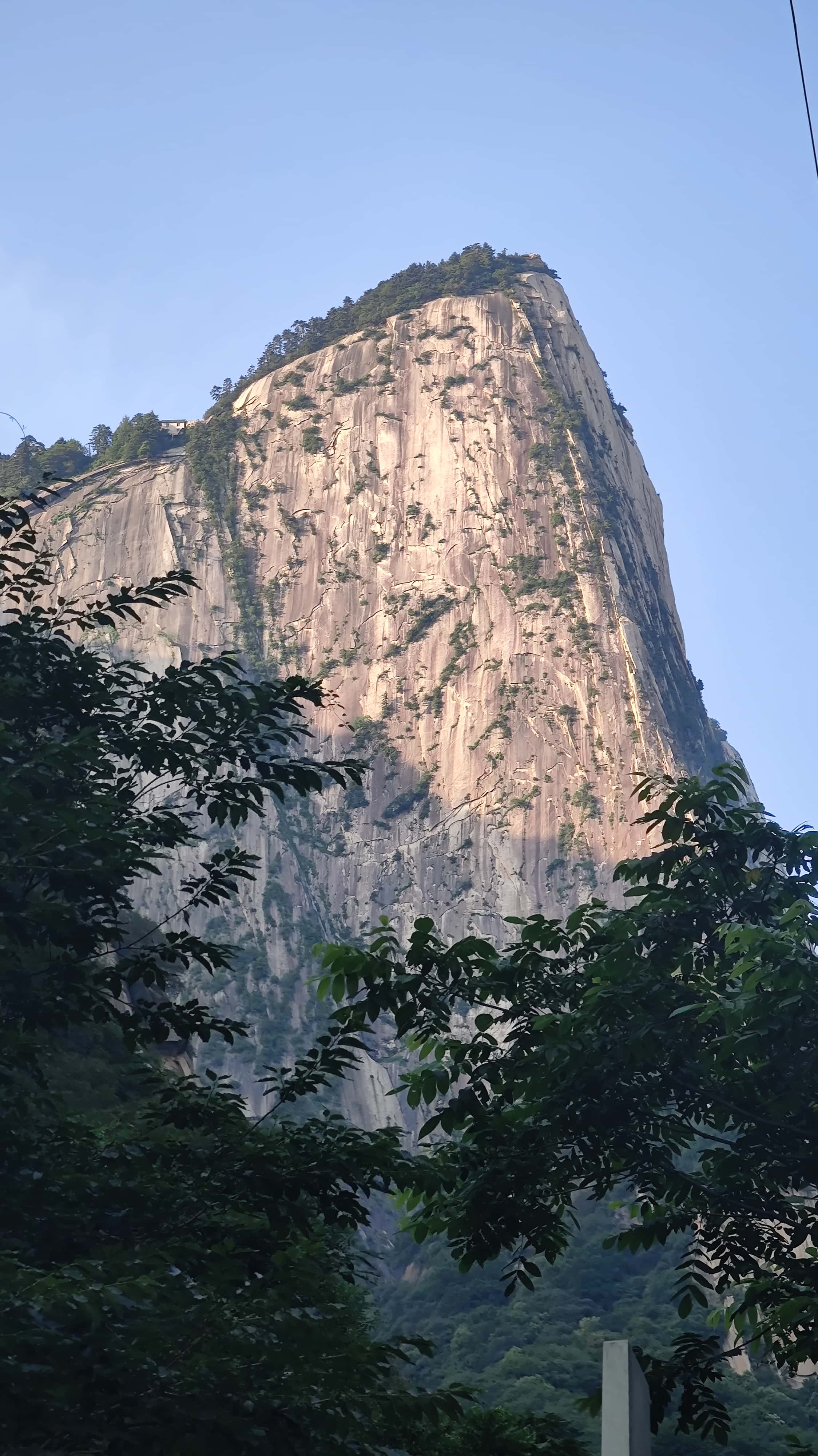 MVIMG_20250611_064306